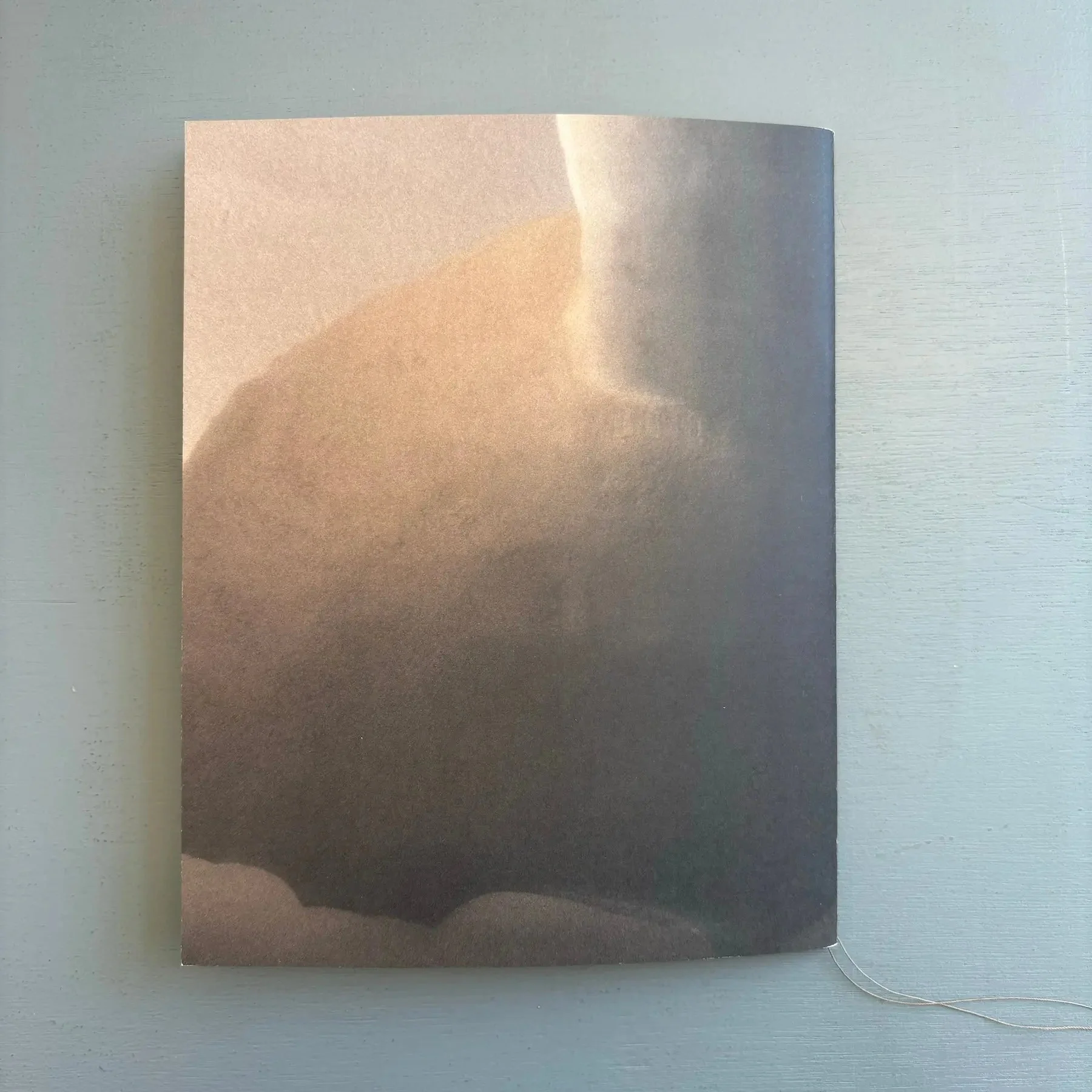 Ludmilla Balkis - Horse LLC 2023 - Image 10