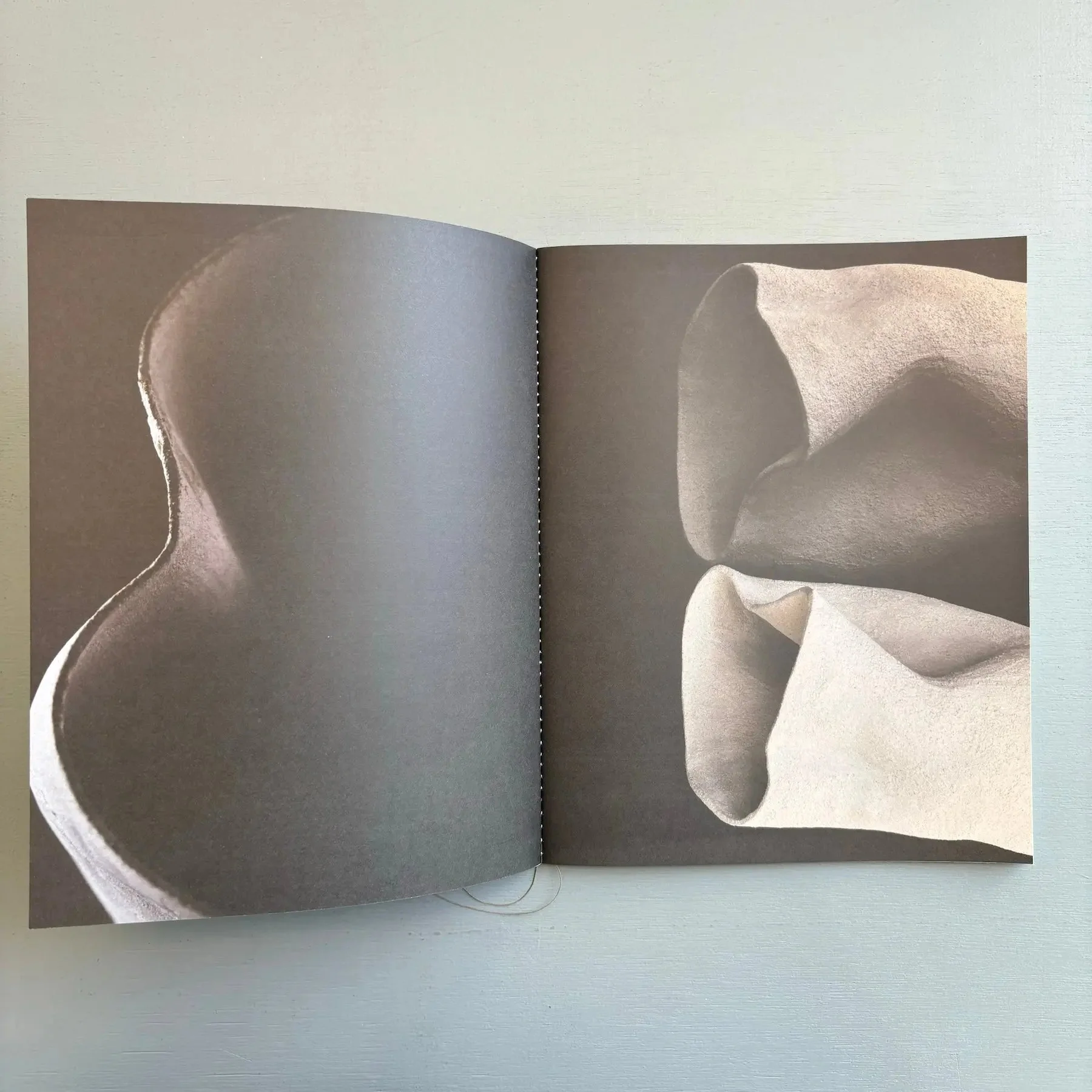 Ludmilla Balkis - Horse LLC 2023 - Image 4