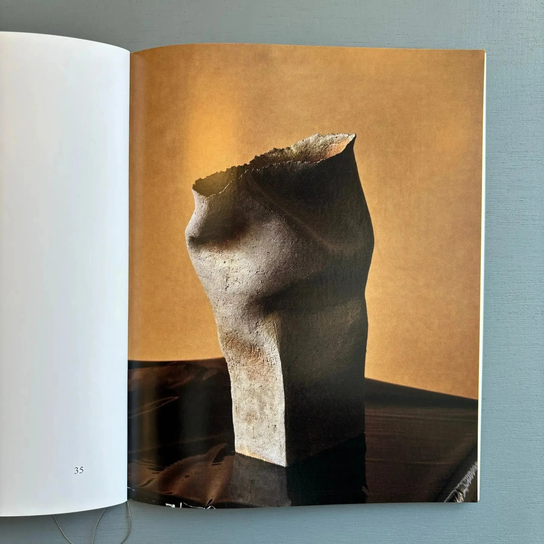 Ludmilla Balkis - Horse LLC 2023 - Image 8