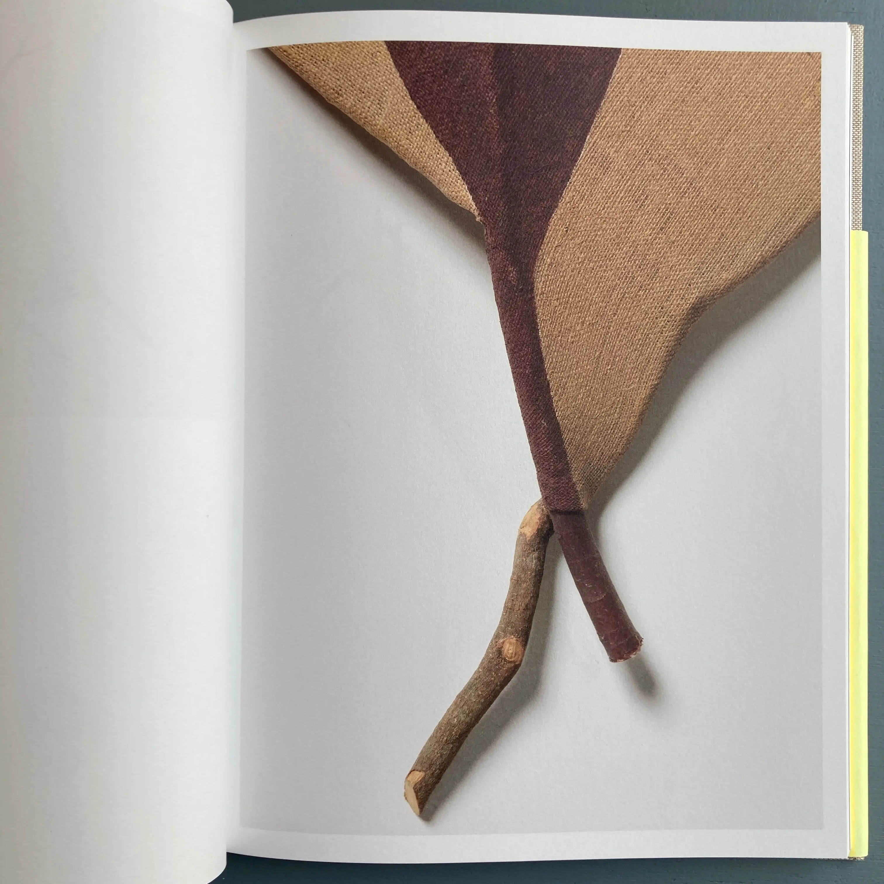 Sven Lukin - Branches - Zolo Press 2019 - Image 4