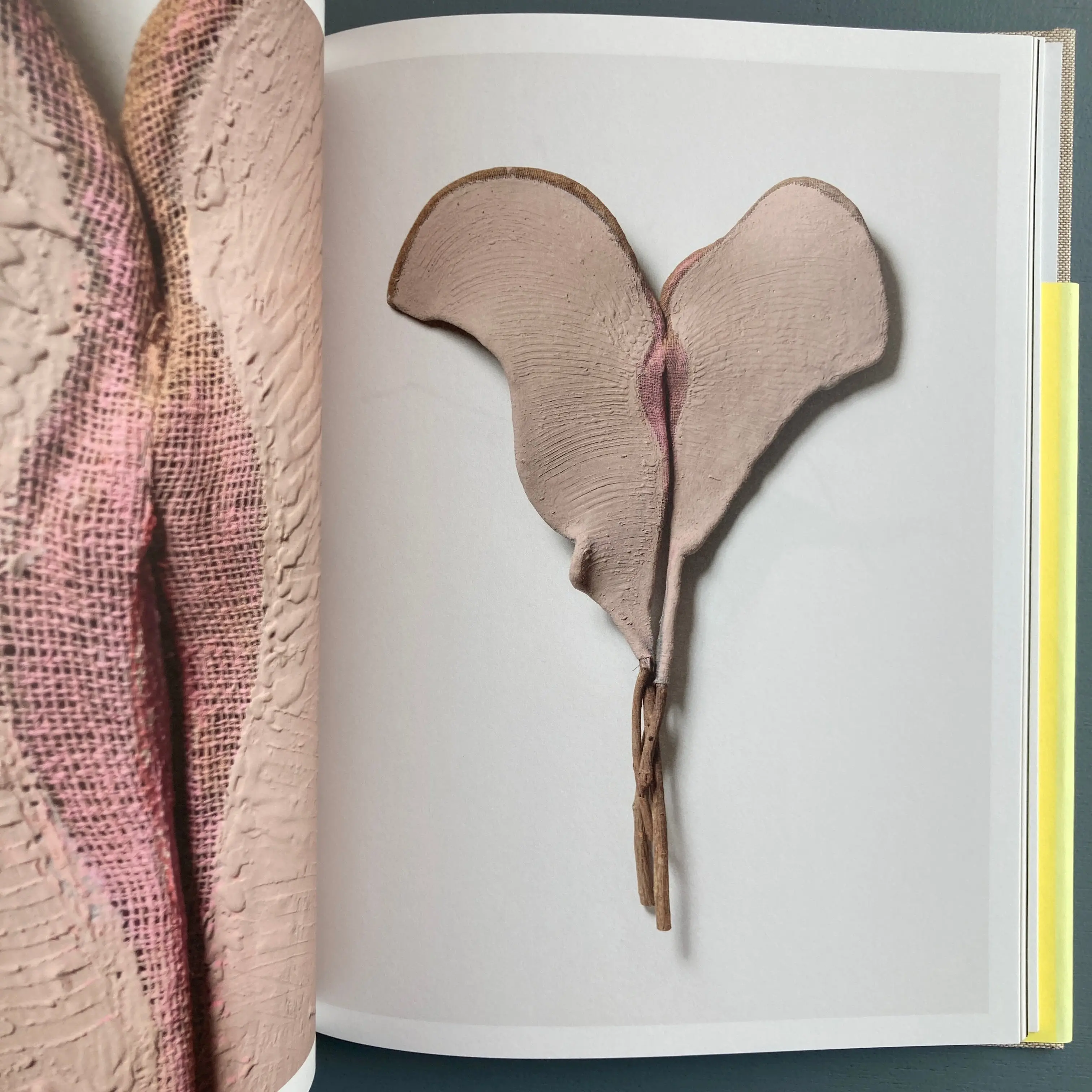 Sven Lukin - Branches - Zolo Press 2019 - Image 6