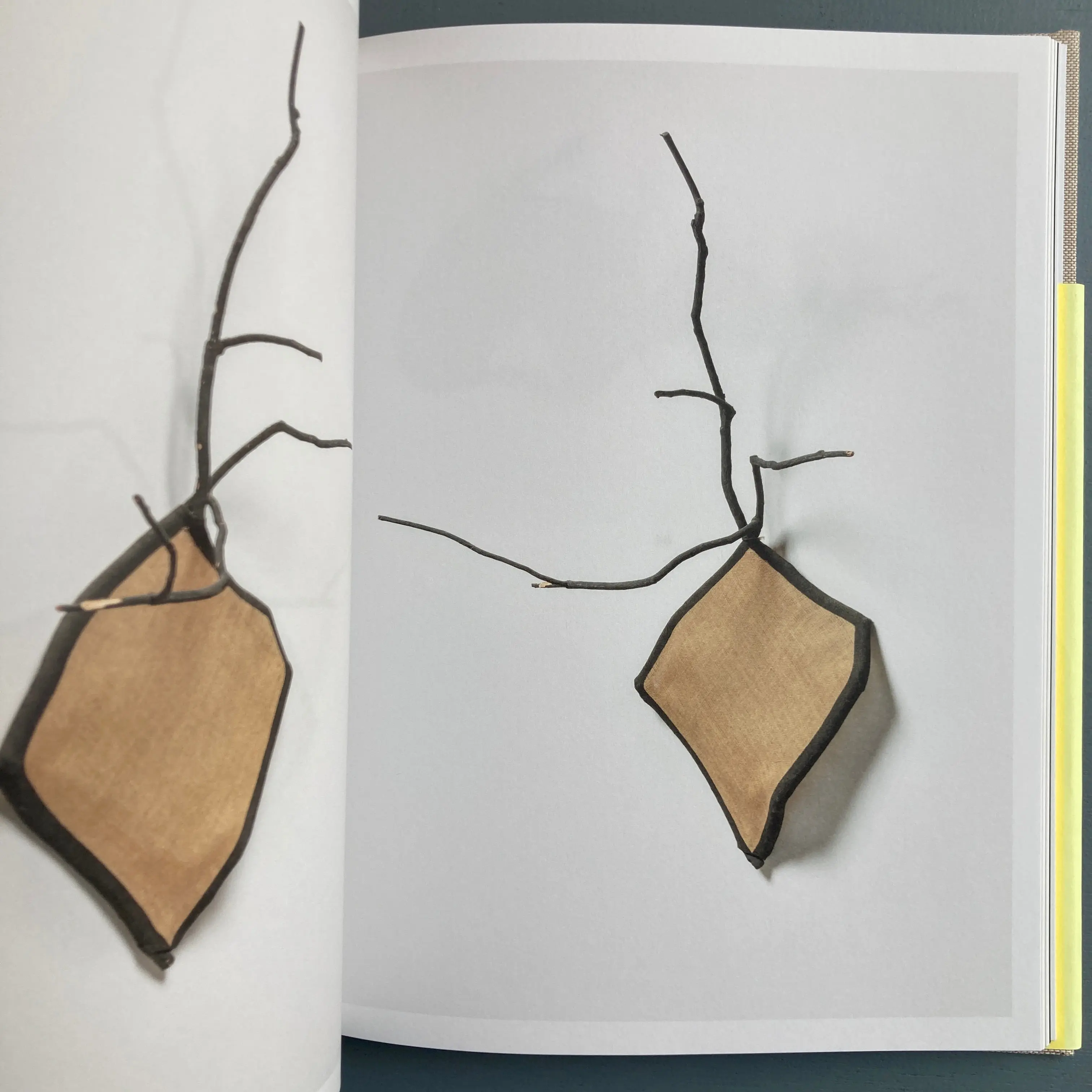 Sven Lukin - Branches - Zolo Press 2019 - Image 7