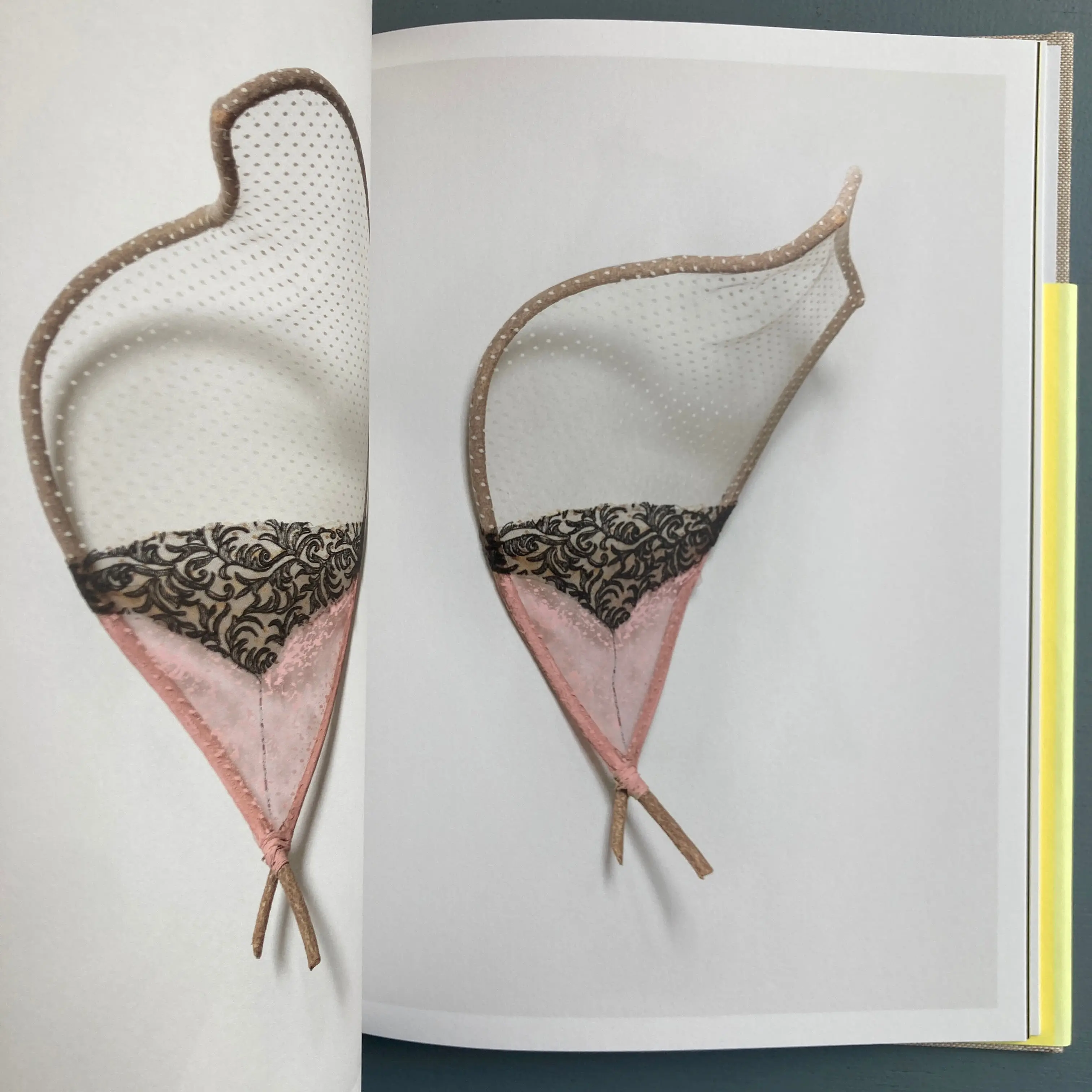 Sven Lukin - Branches - Zolo Press 2019 - Image 8