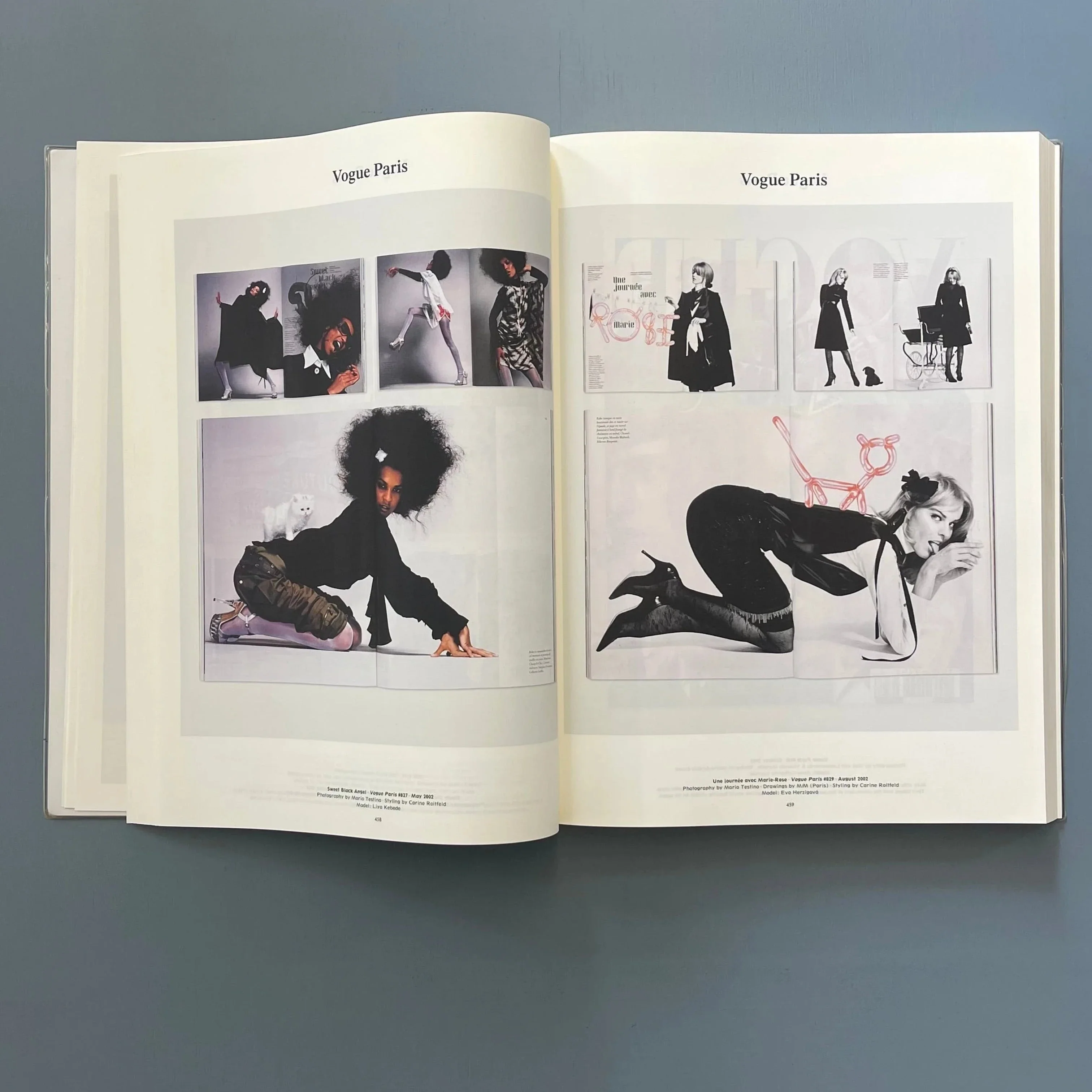 M to M of M/M (Paris) - Thames & Hudson 2012 - Image 8