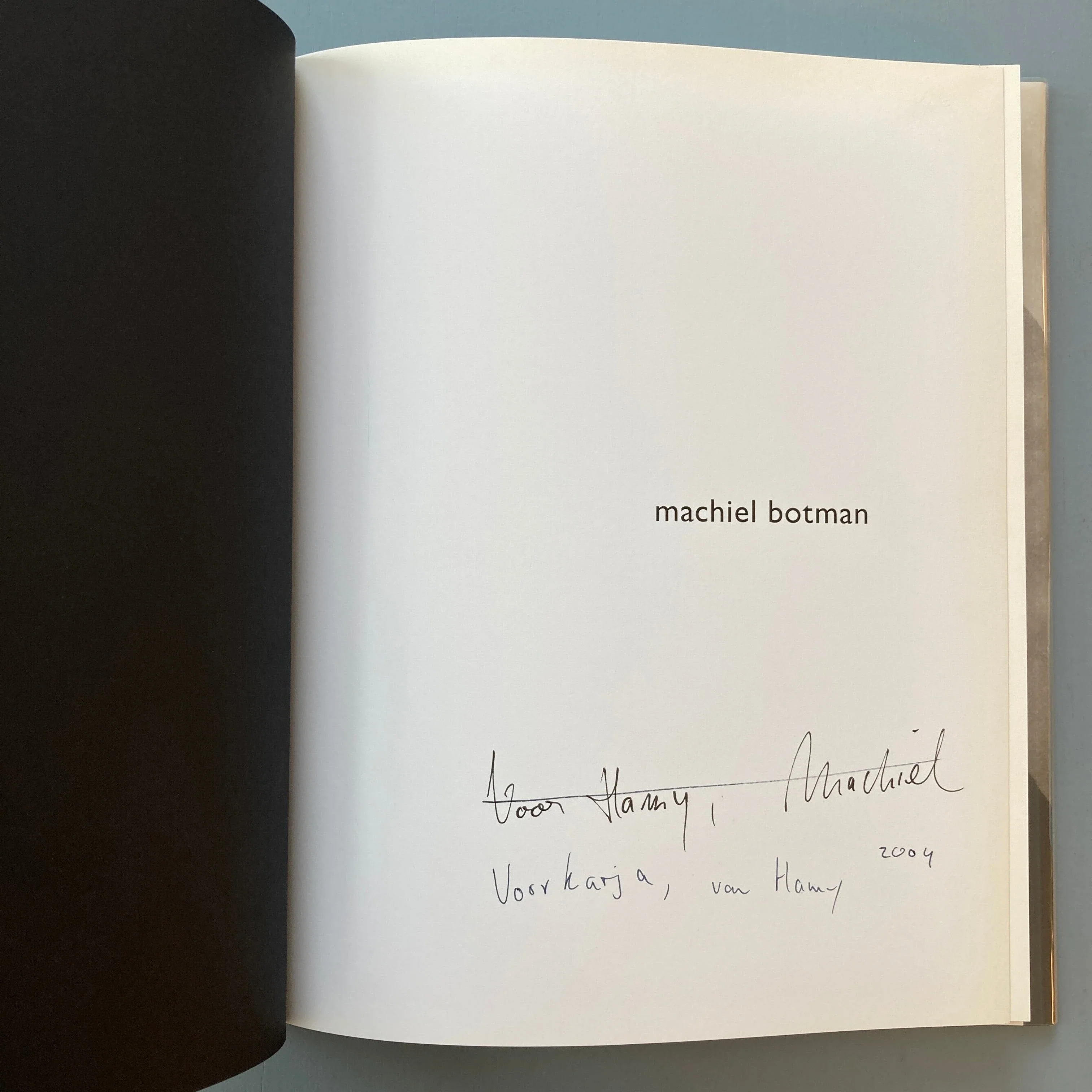 Machiel Botman - Rainchild (signed) - Schaden 2004 - Image 3