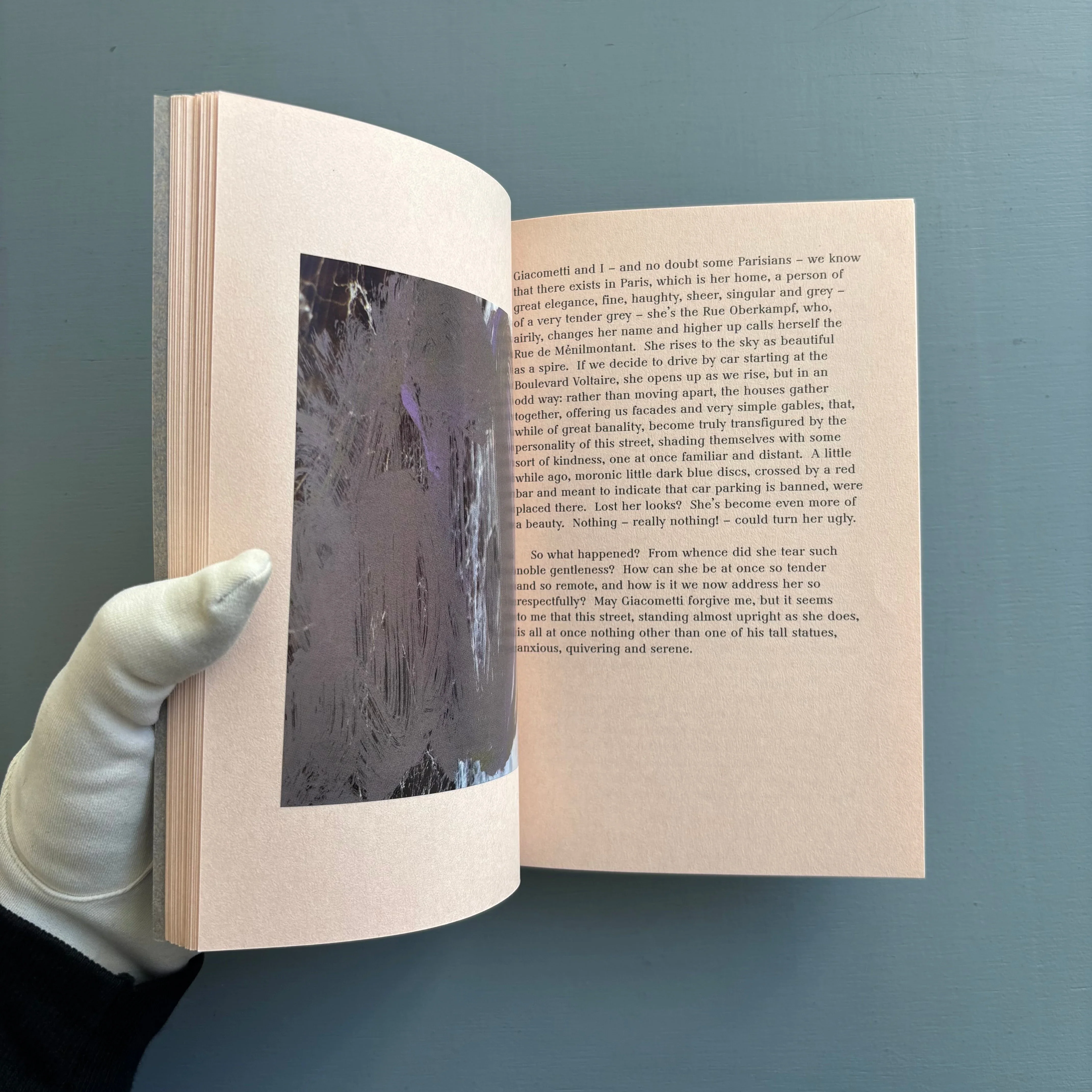 Marc Camille Chaimowicz - Jean Genet. The Studio of Giacometti - Grey Tiger Books 2013 - Image 6