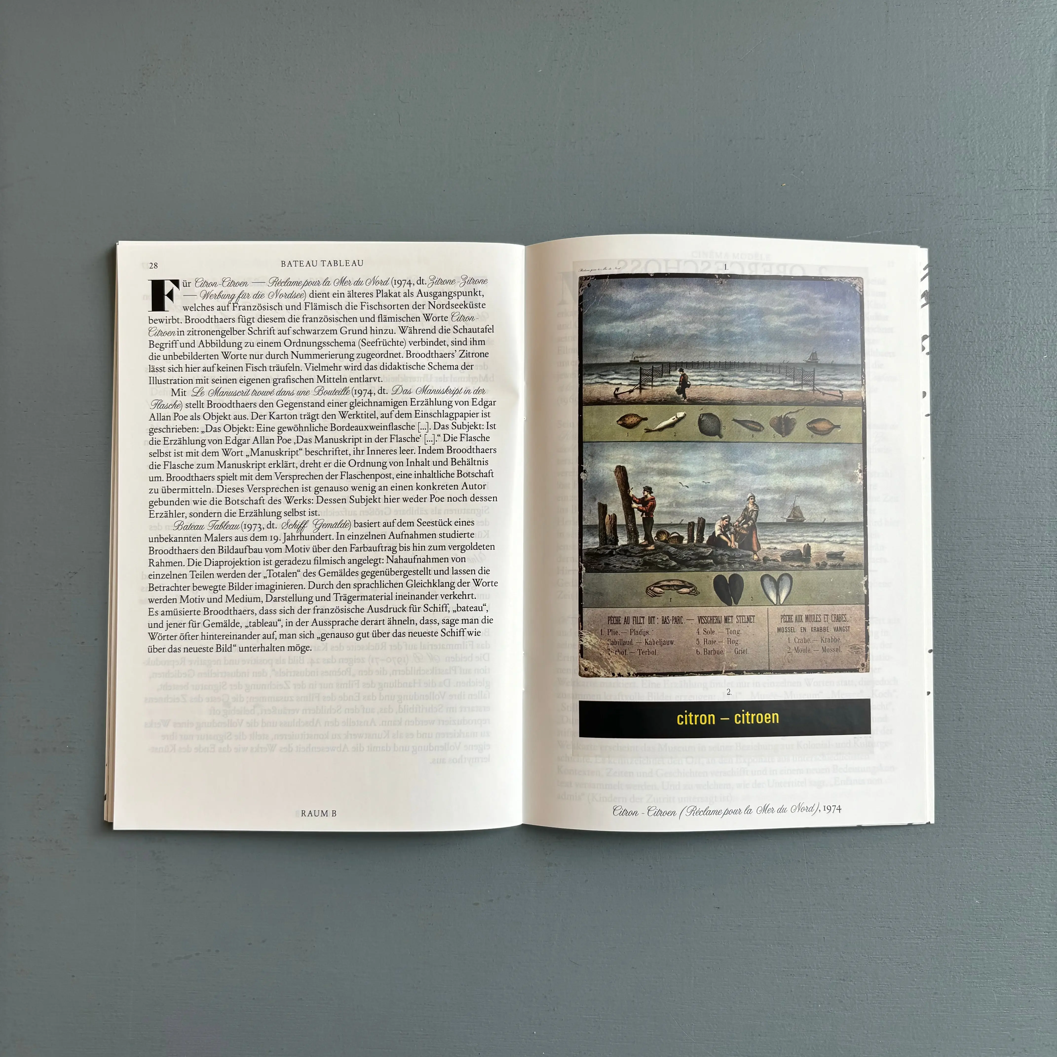 Marcel Broodthaers - Fridericianum 2015 - Image 4