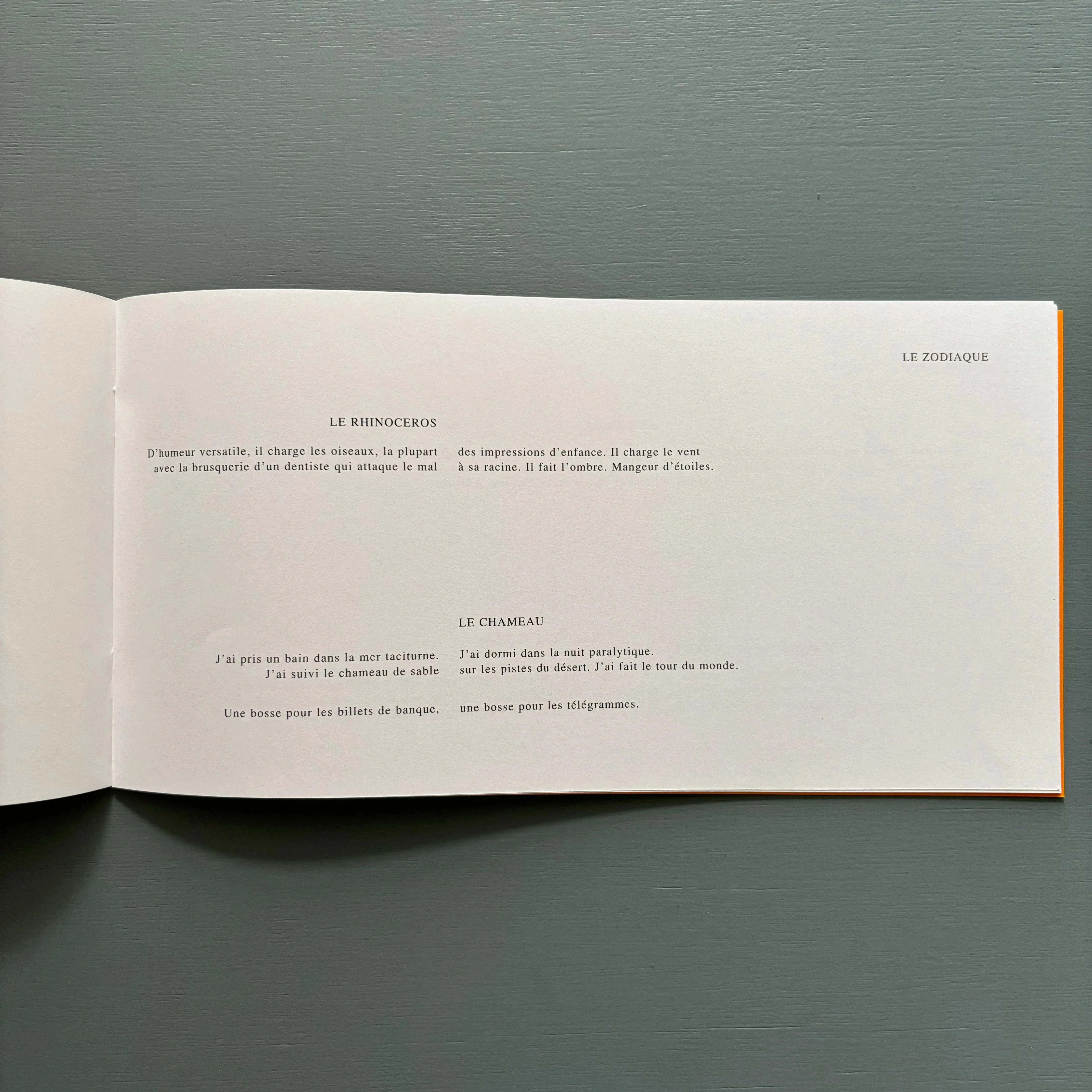 Marcel Broodthaers - La Bête Noire - XL Plus 2003 - Image 4