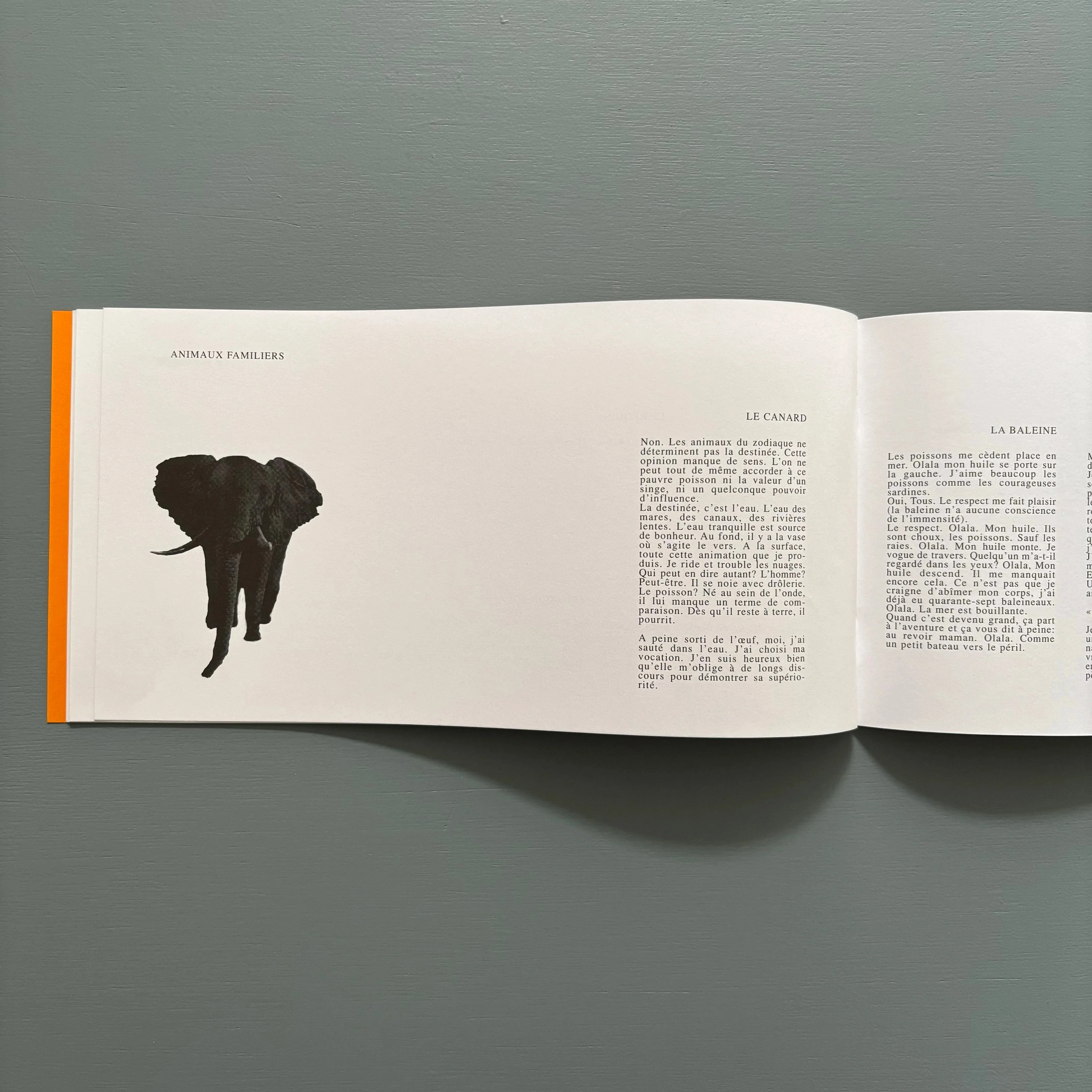 Marcel Broodthaers - La Bête Noire - XL Plus 2003 - Image 7