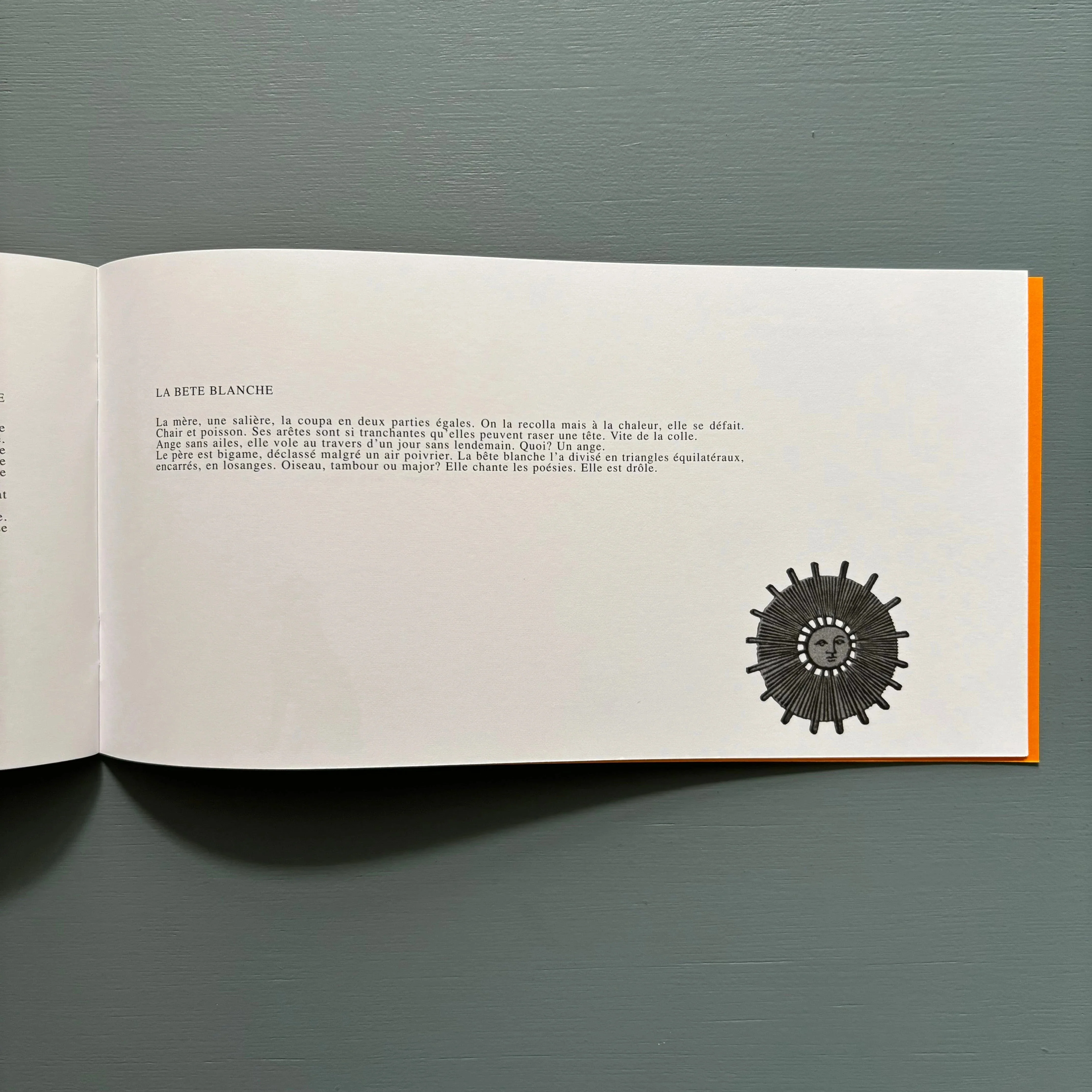 Marcel Broodthaers - La Bête Noire - XL Plus 2003 - Image 8
