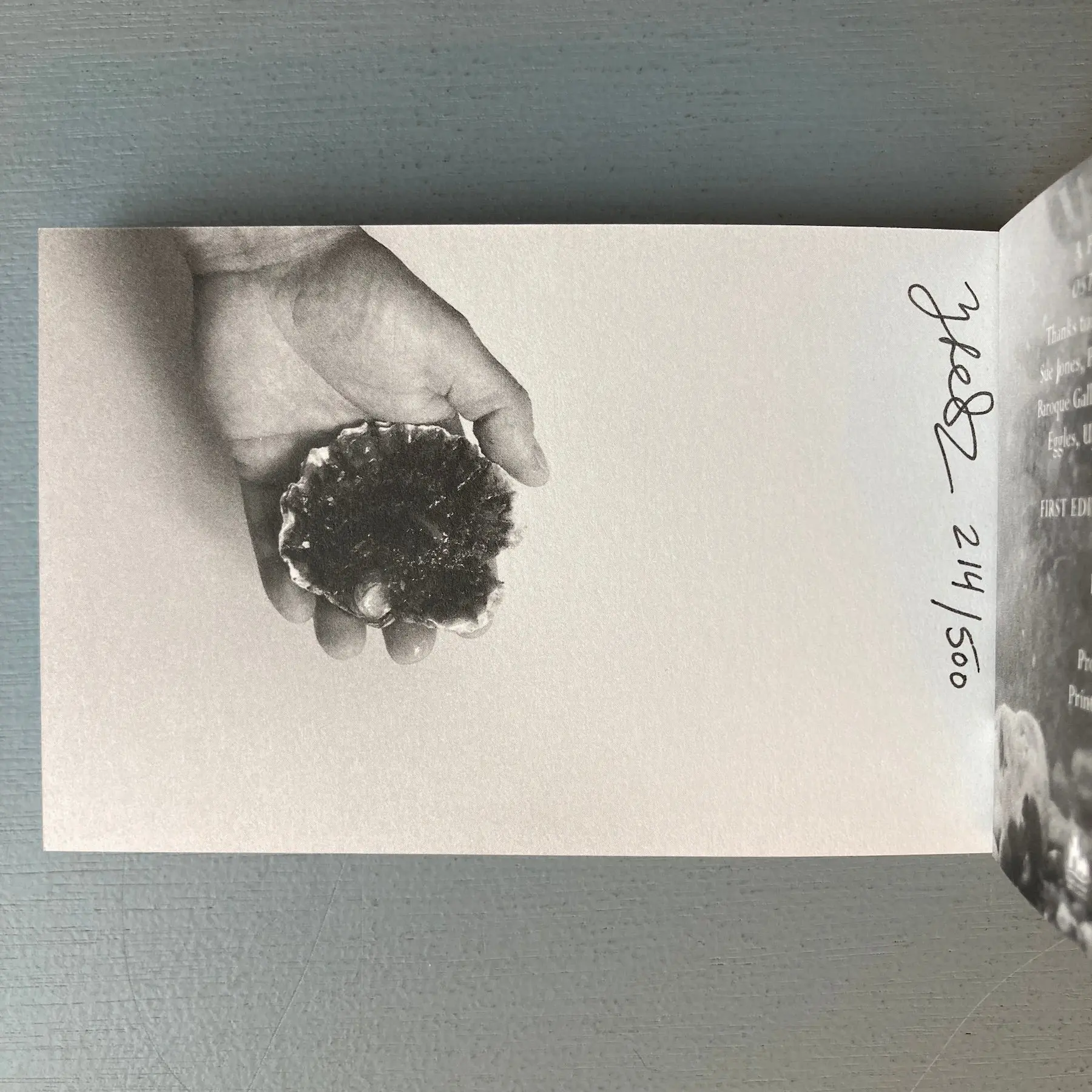 Margaret Salmon (signed) - Oyster - 2014 - Image 2