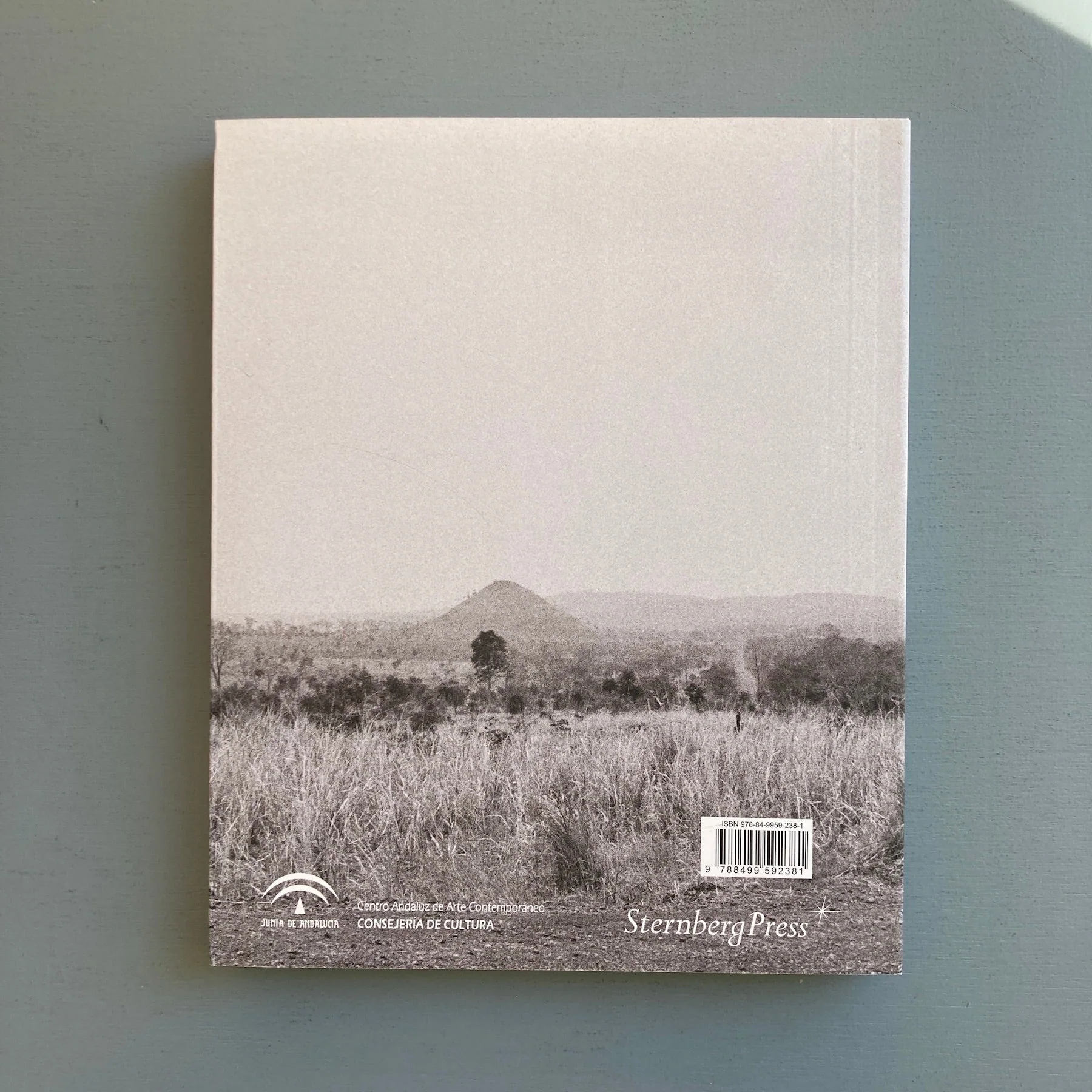 Maria Thereza Alves - El Largo Camino a Xico / The Long Road to Xico, 1991-2015 - Sternberg Press 2017 - Image 10
