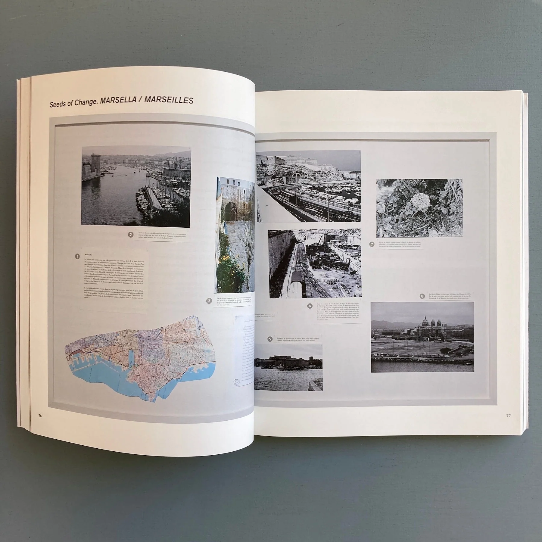 Maria Thereza Alves - El Largo Camino a Xico / The Long Road to Xico, 1991-2015 - Sternberg Press 2017 - Image 4