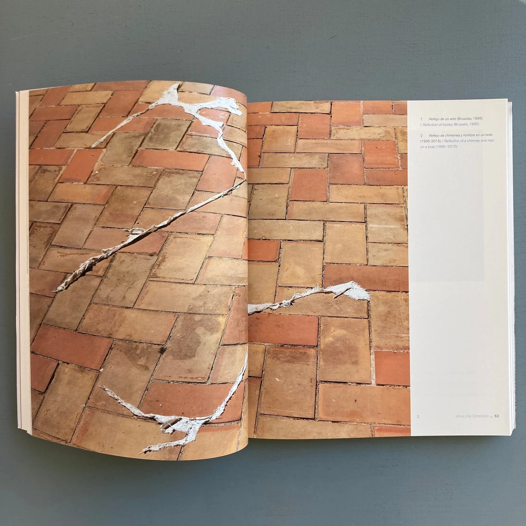 Maria Thereza Alves - El Largo Camino a Xico / The Long Road to Xico, 1991-2015 - Sternberg Press 2017 - Image 6