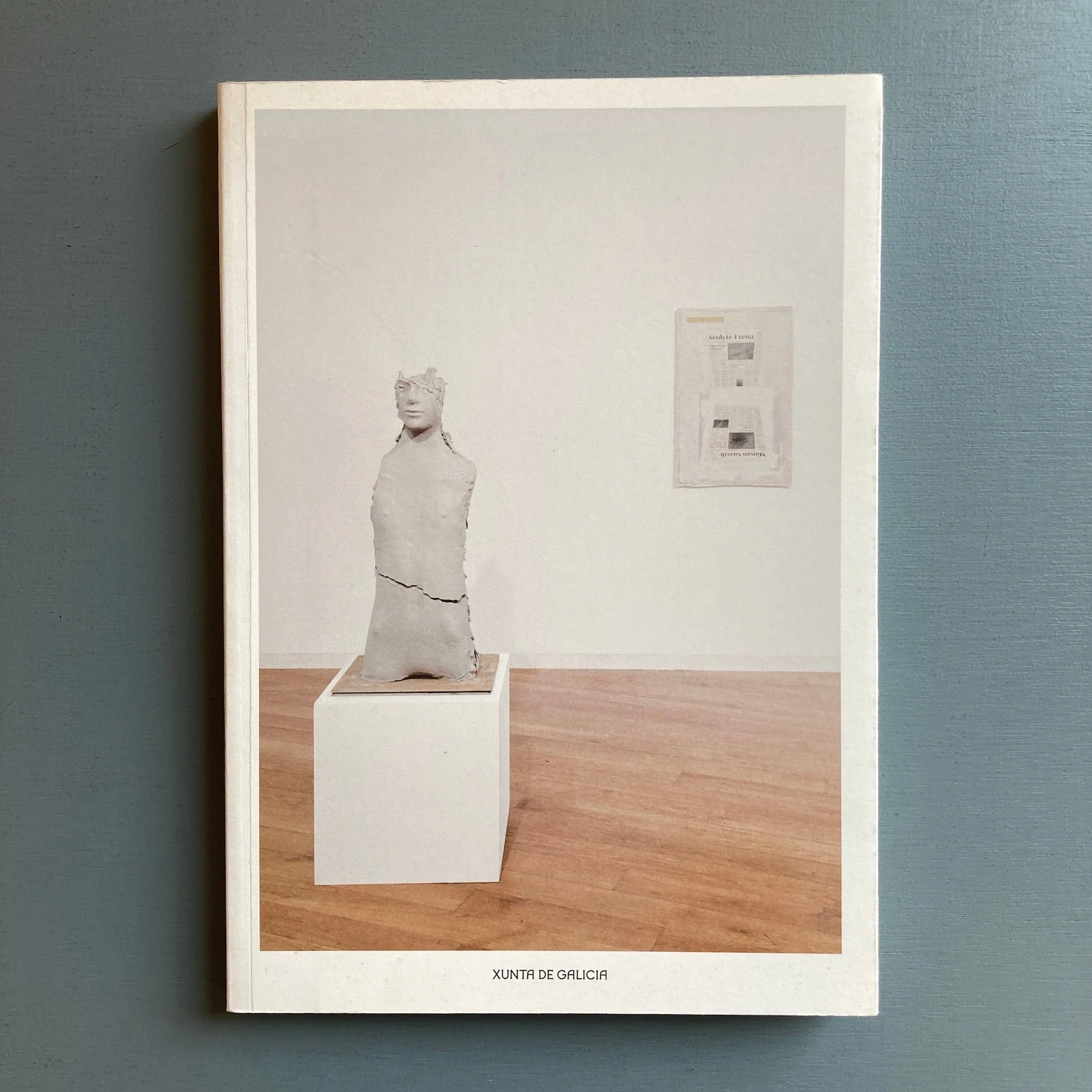 Mark Manders - Curculio bassos - Xunta de Galicia 2014