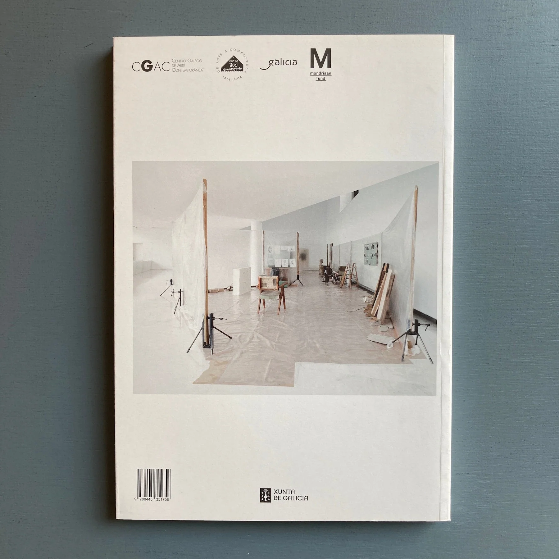Mark Manders - Curculio bassos - Xunta de Galicia 2014 - Image 10