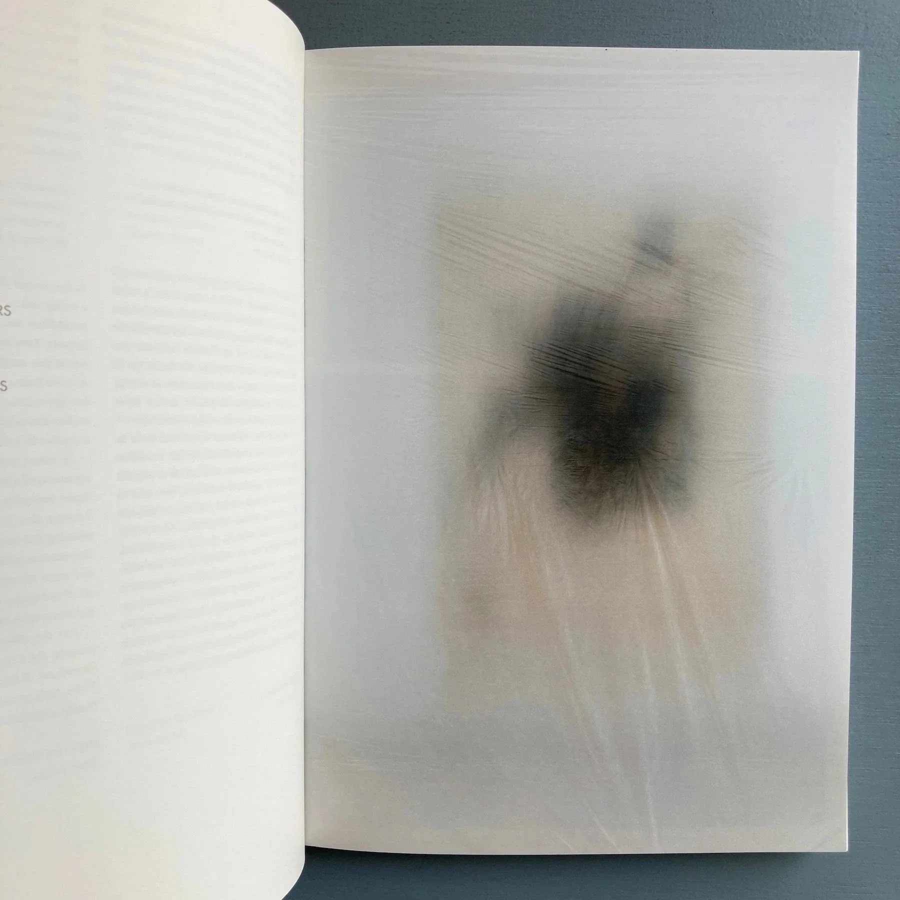 Mark Manders - Curculio bassos - Xunta de Galicia 2014 - Image 2