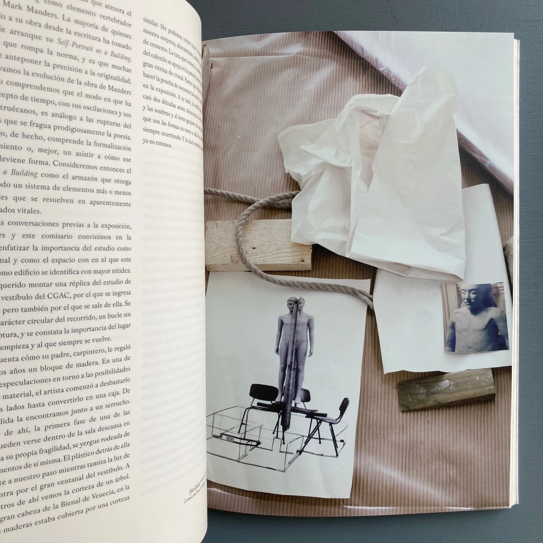 Mark Manders - Curculio bassos - Xunta de Galicia 2014 - Image 8