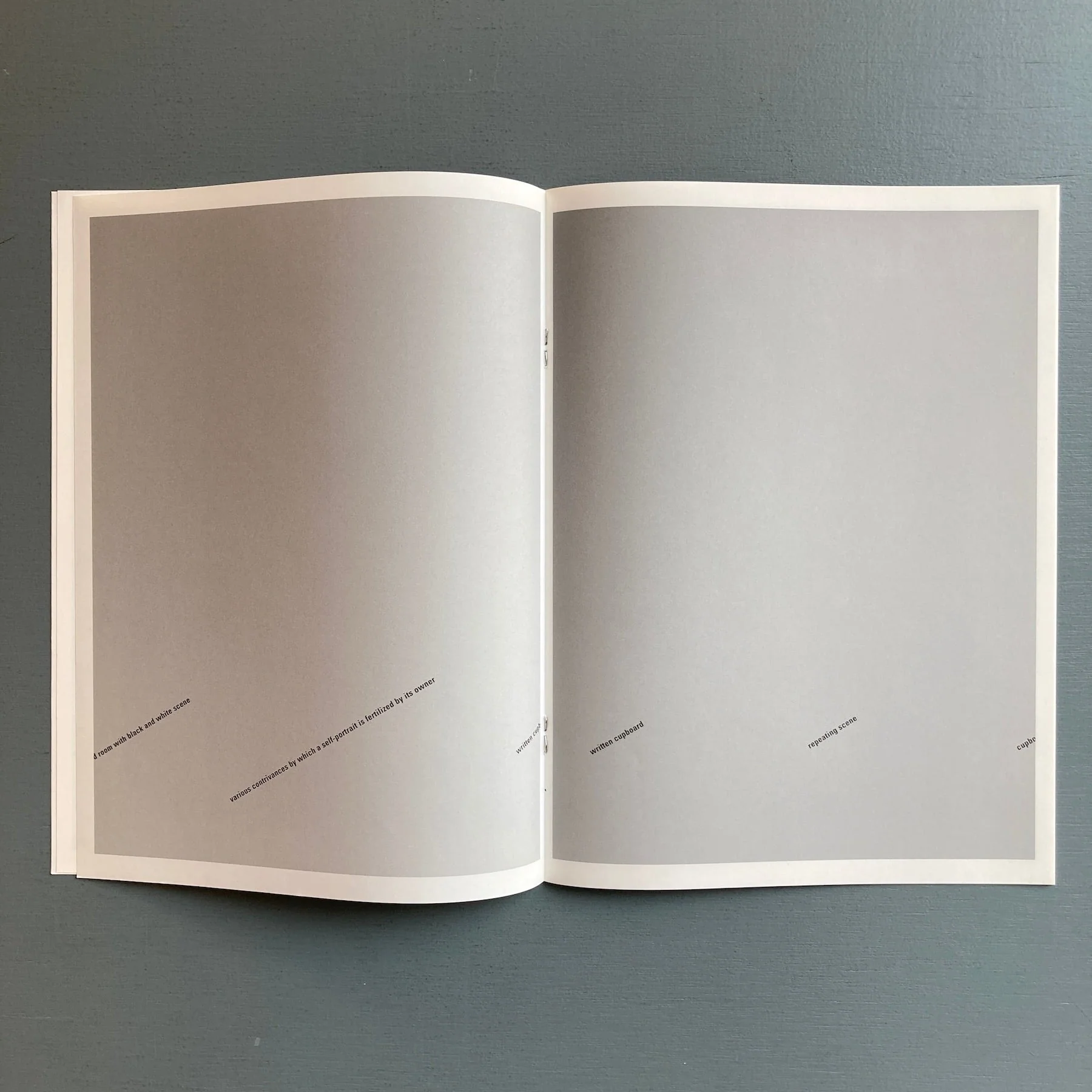 Mark Manders - Hallway with Sentences - Roma Publications 2005 - Image 3