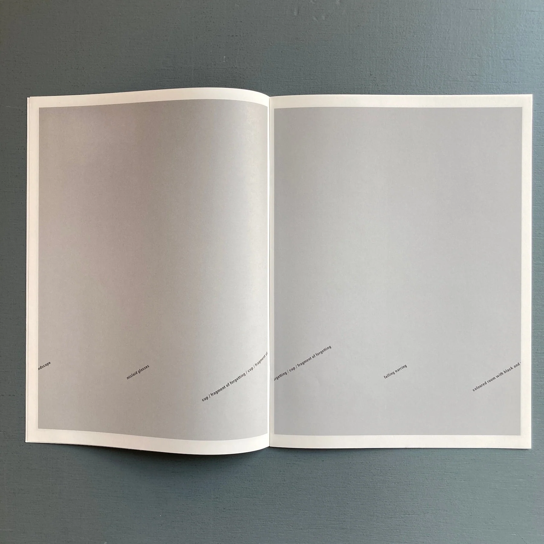 Mark Manders - Hallway with Sentences - Roma Publications 2005 - Image 5