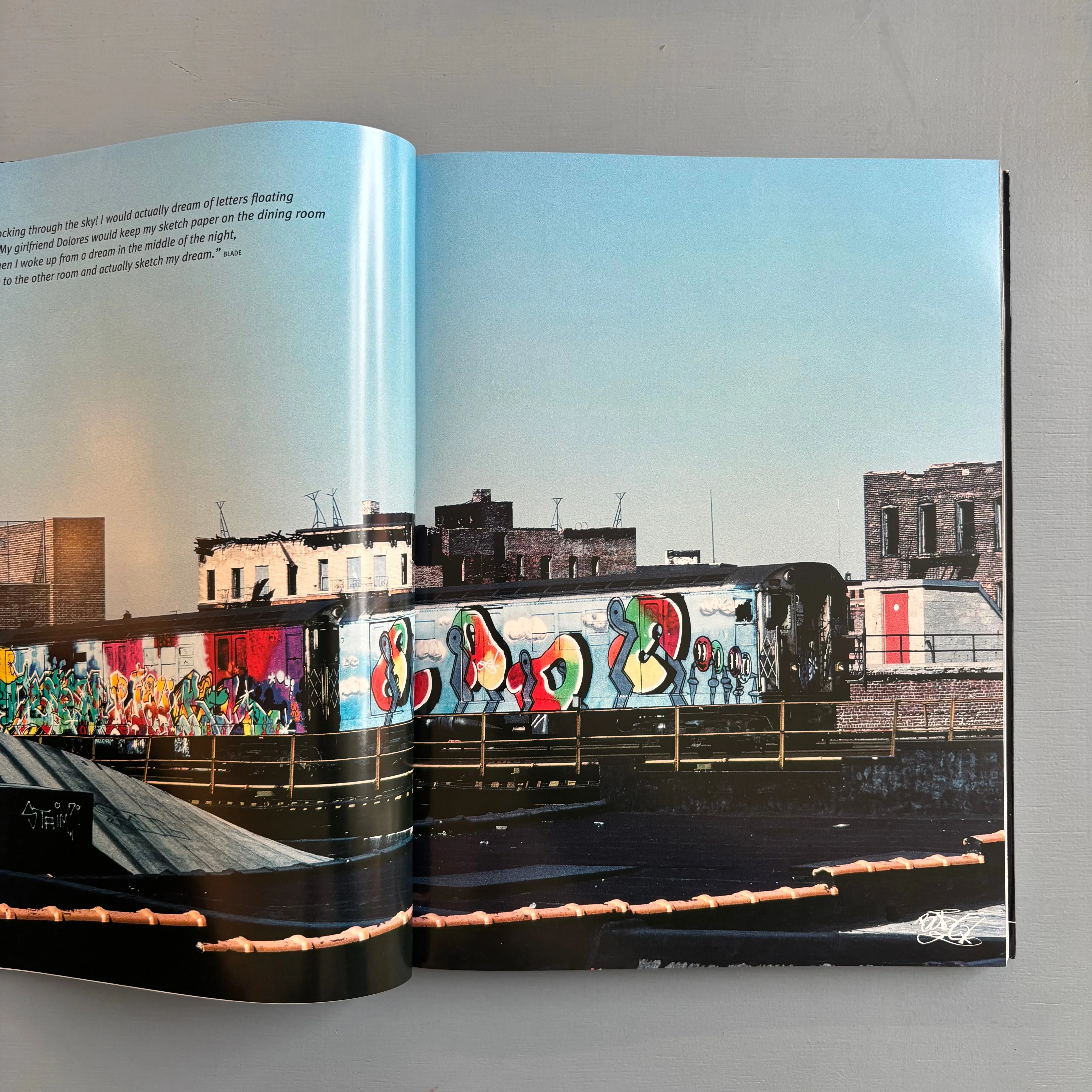 Martha Cooper - Hip Hop Files Photographs 1979-1984 - From Here to Fame 2013 - Image 4
