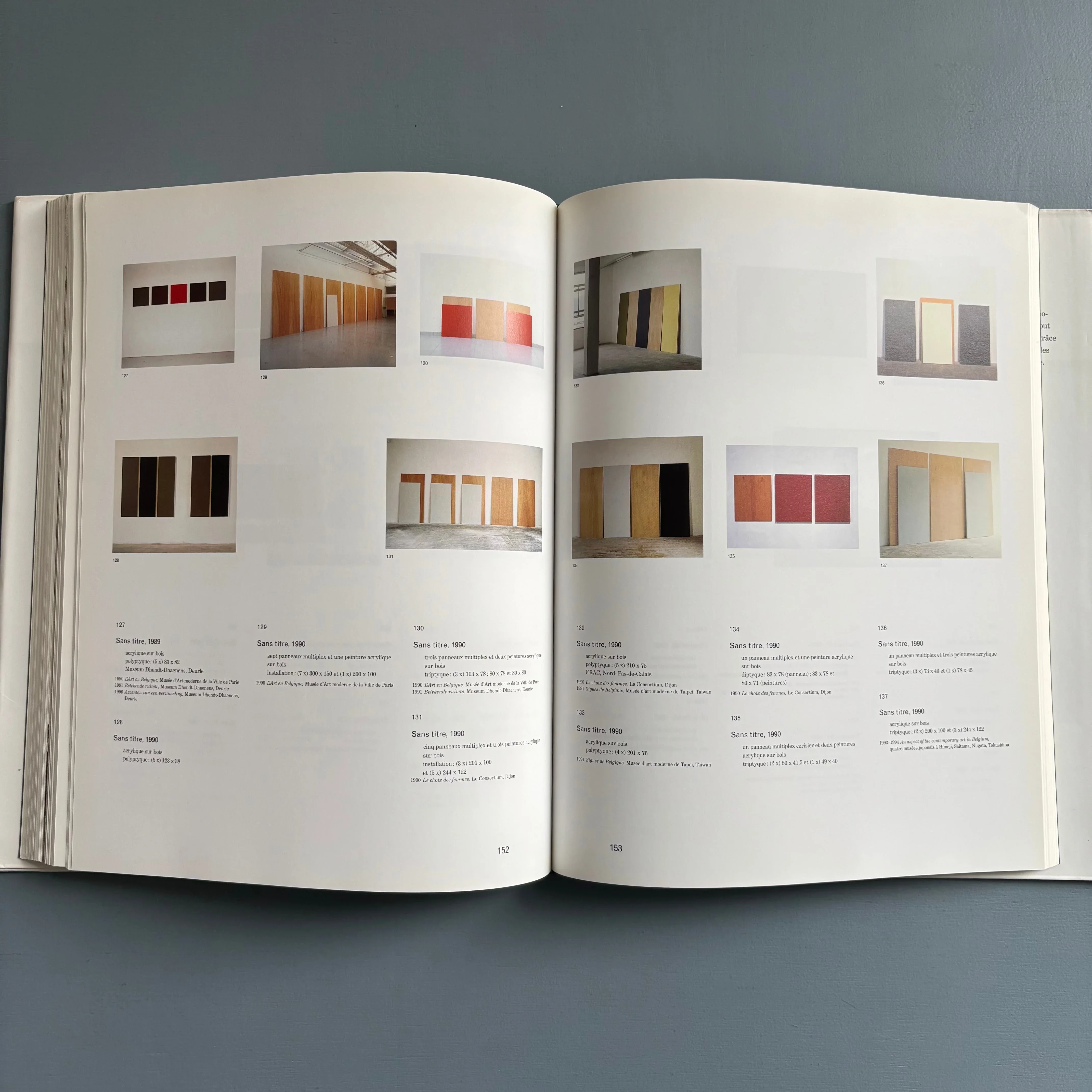 Marthe Wéry - Penser en peinture (1968-2000) - Ludion 2001 - Image 11