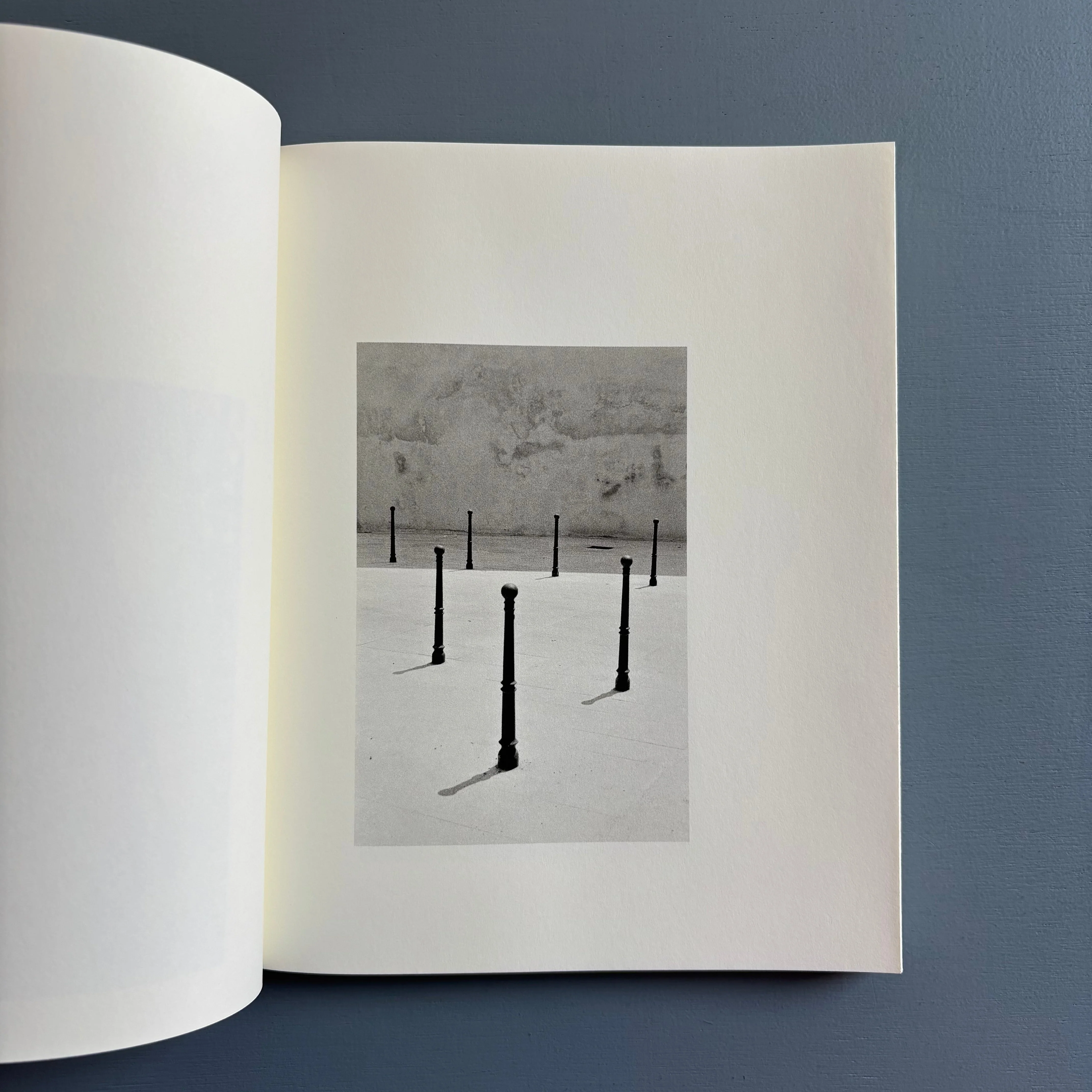 Massao Mascaro - Jardin - Witty Kiwi / L'éditeur du dimanche 2019 - Image 6