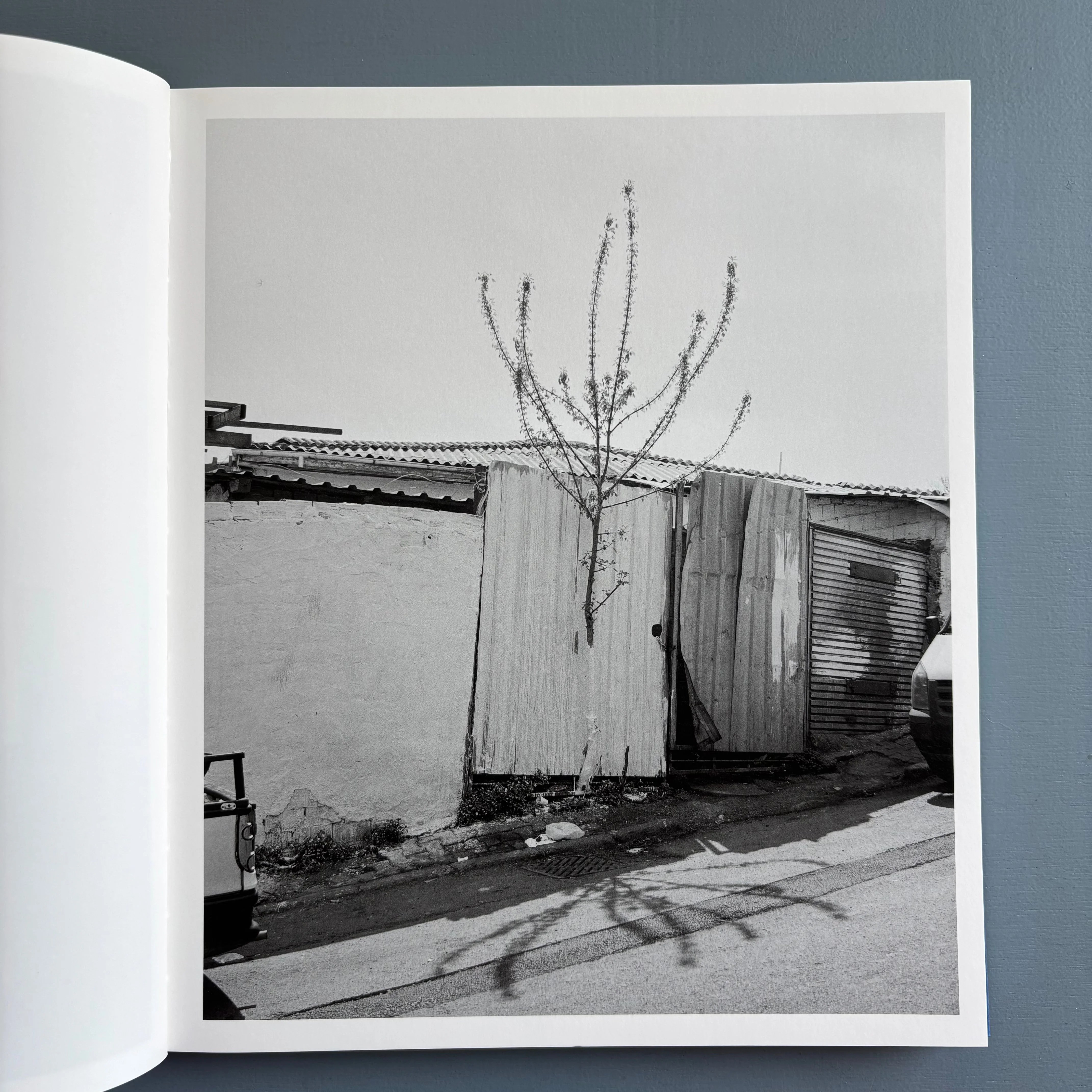 Massao Mascaro - Sub Sole - Chose Commune 2021 - Image 4