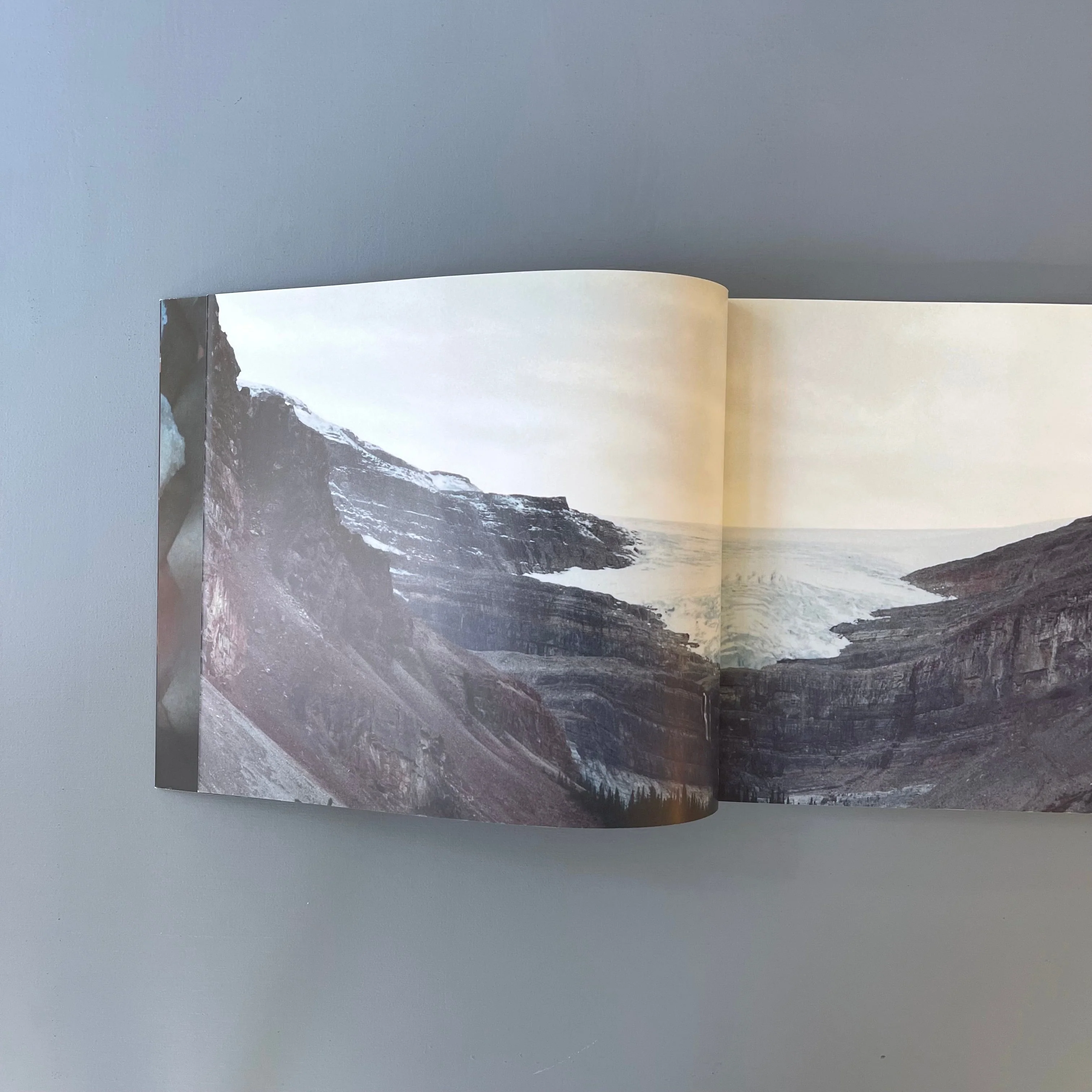 Matthew Barney - Cremaster 2 - Walker Art Center 1999 - Image 2