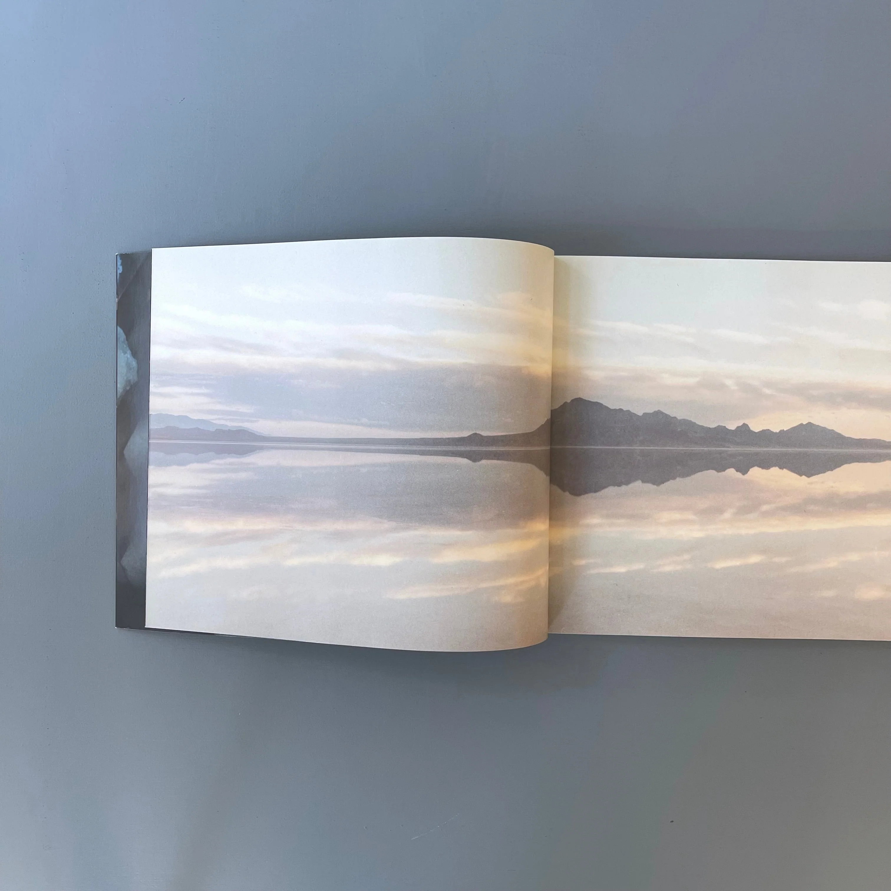 Matthew Barney - Cremaster 2 - Walker Art Center 1999 - Image 3