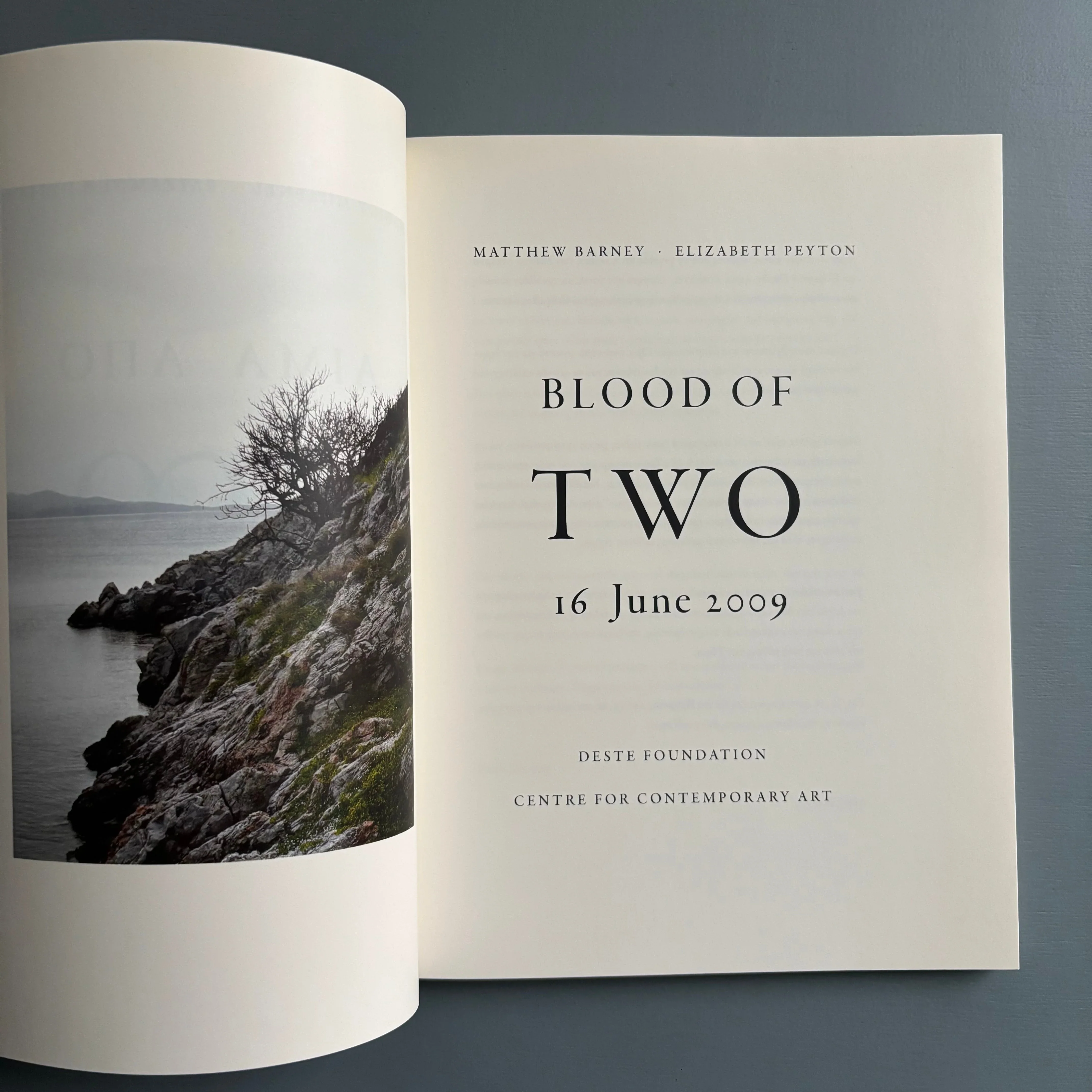 Matthew Barney & Elizabeth Peyton - Blood of Two - Deste Foundation 2010 - Image 3