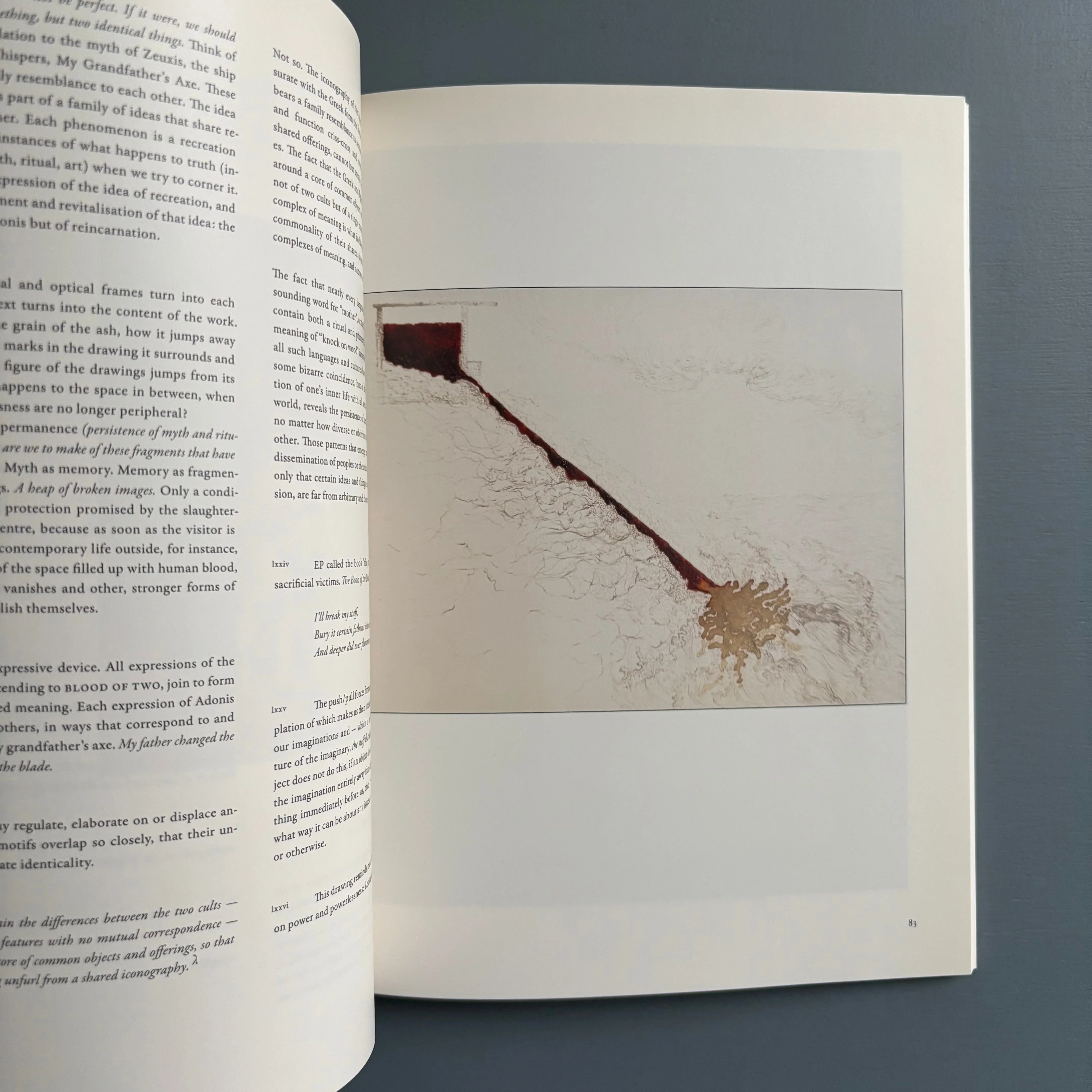 Matthew Barney & Elizabeth Peyton - Blood of Two - Deste Foundation 2010 - Image 8