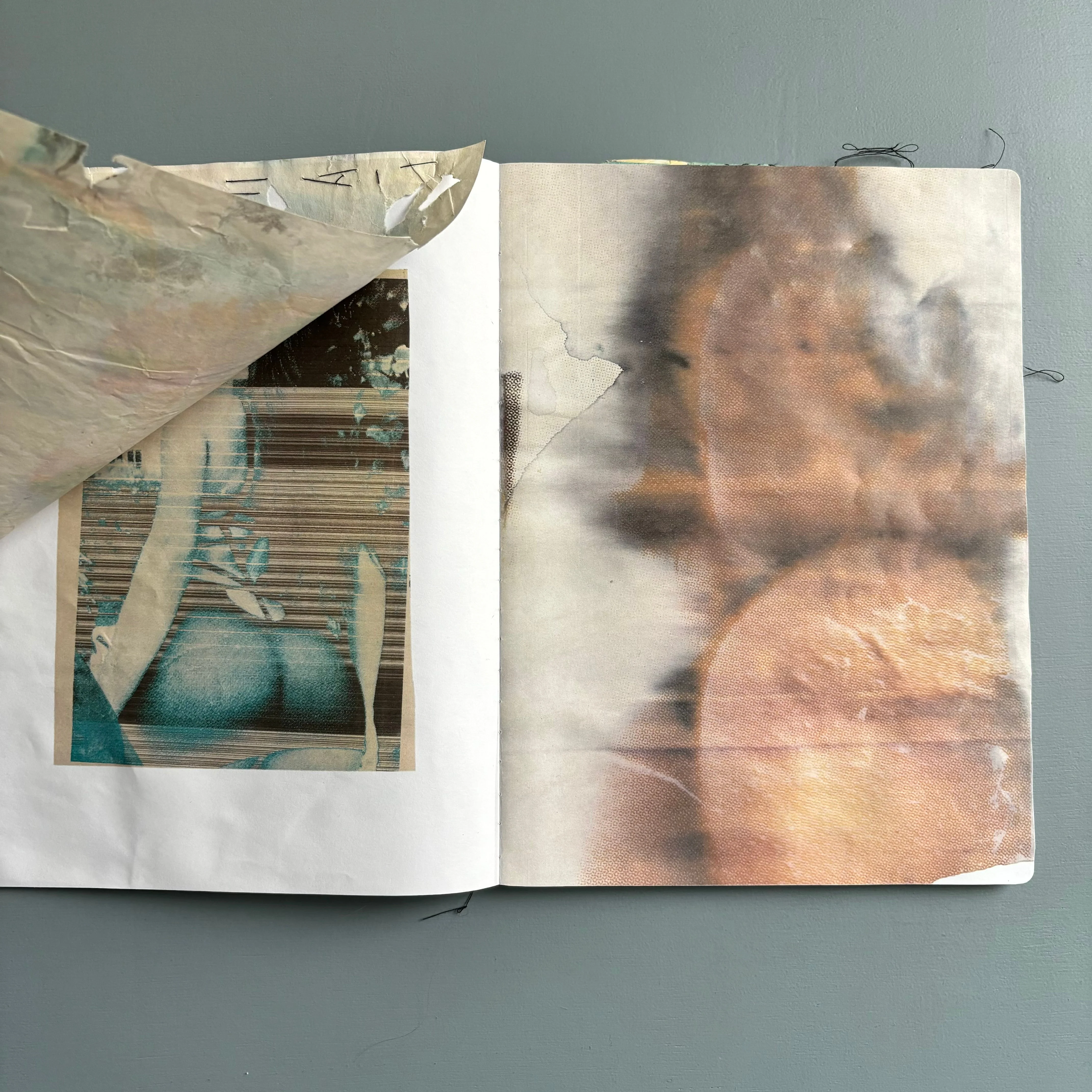 Maureen Muse - Homebodies Volume II - June 2024 - Image 7