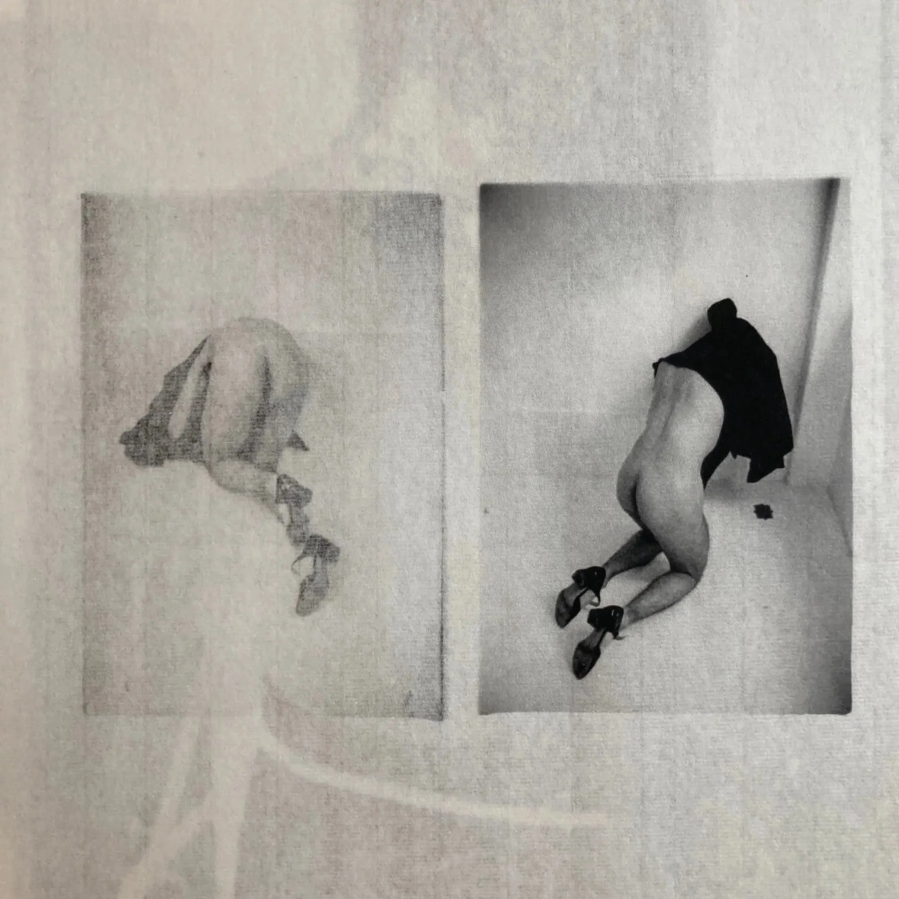 Maureen Muse, Munir Toral & Kyle Whittall - Guiones (+print) - 2021 - Image 8