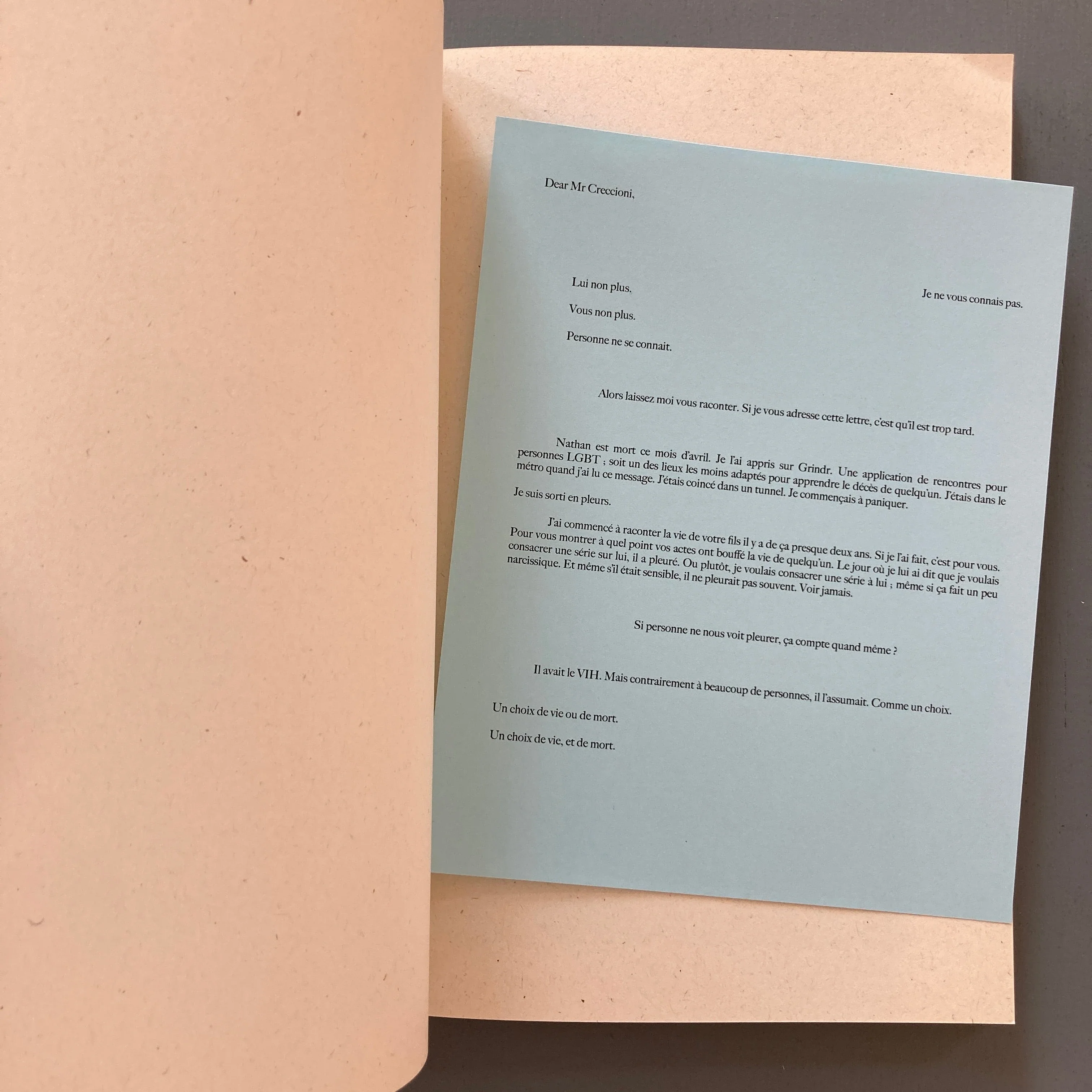 Maxime Muller - Dear Mr Creccioni - Self-published 2019 - Image 8