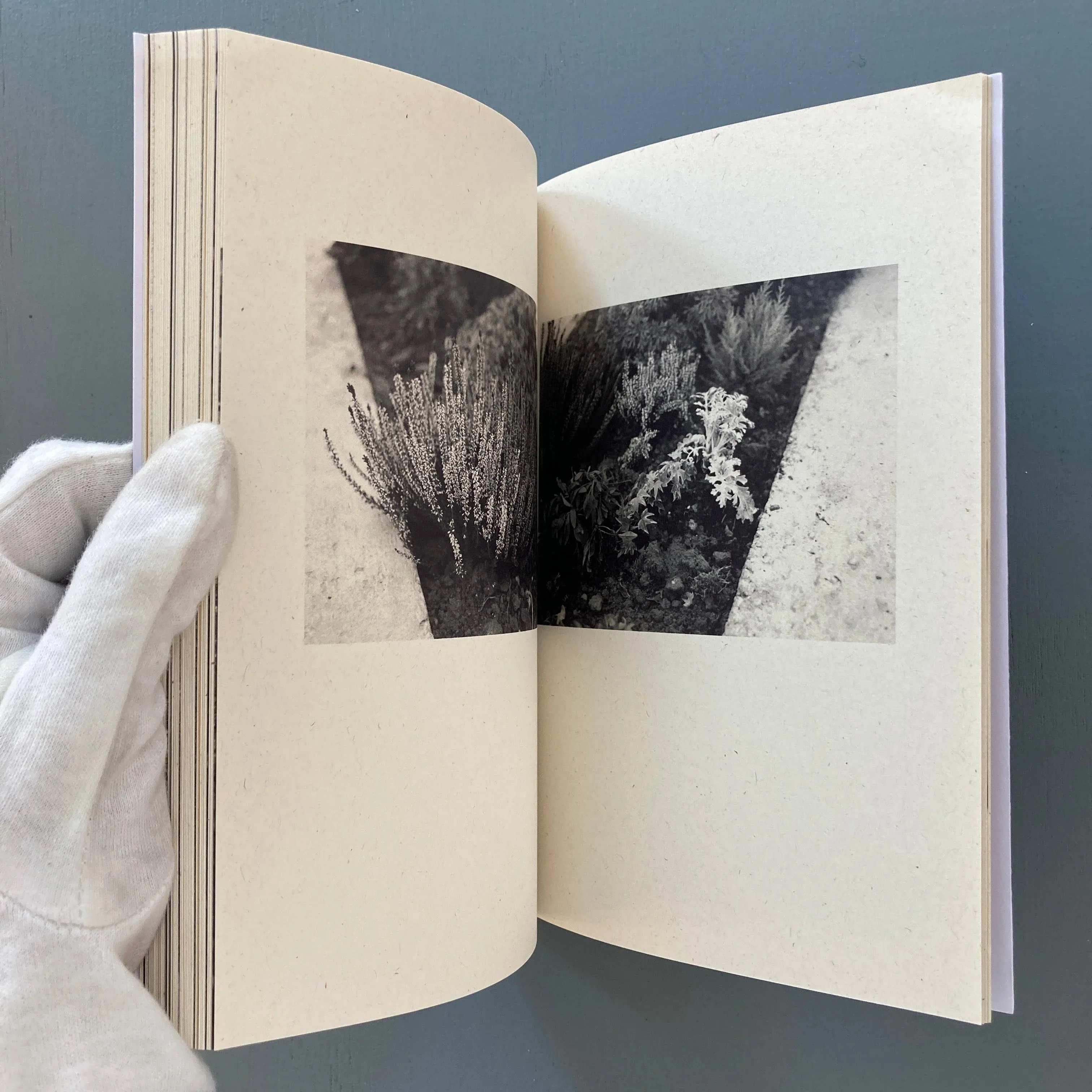 Maxime Muller - Dear Mr Creccioni - Self-published 2019 - Image 9