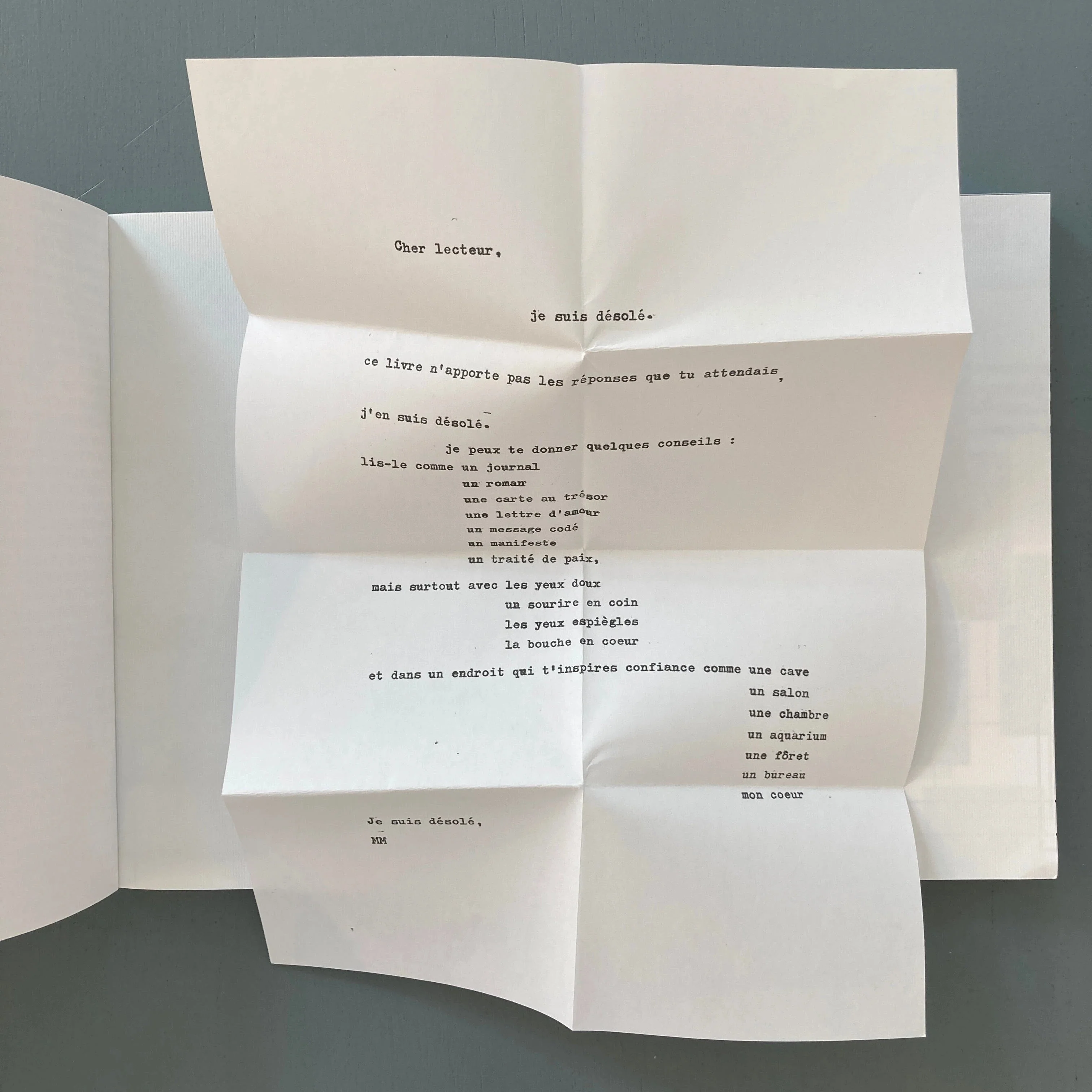 Maxime Muller - Dystopia I : album de famille - Self-published 2018 - Image 3