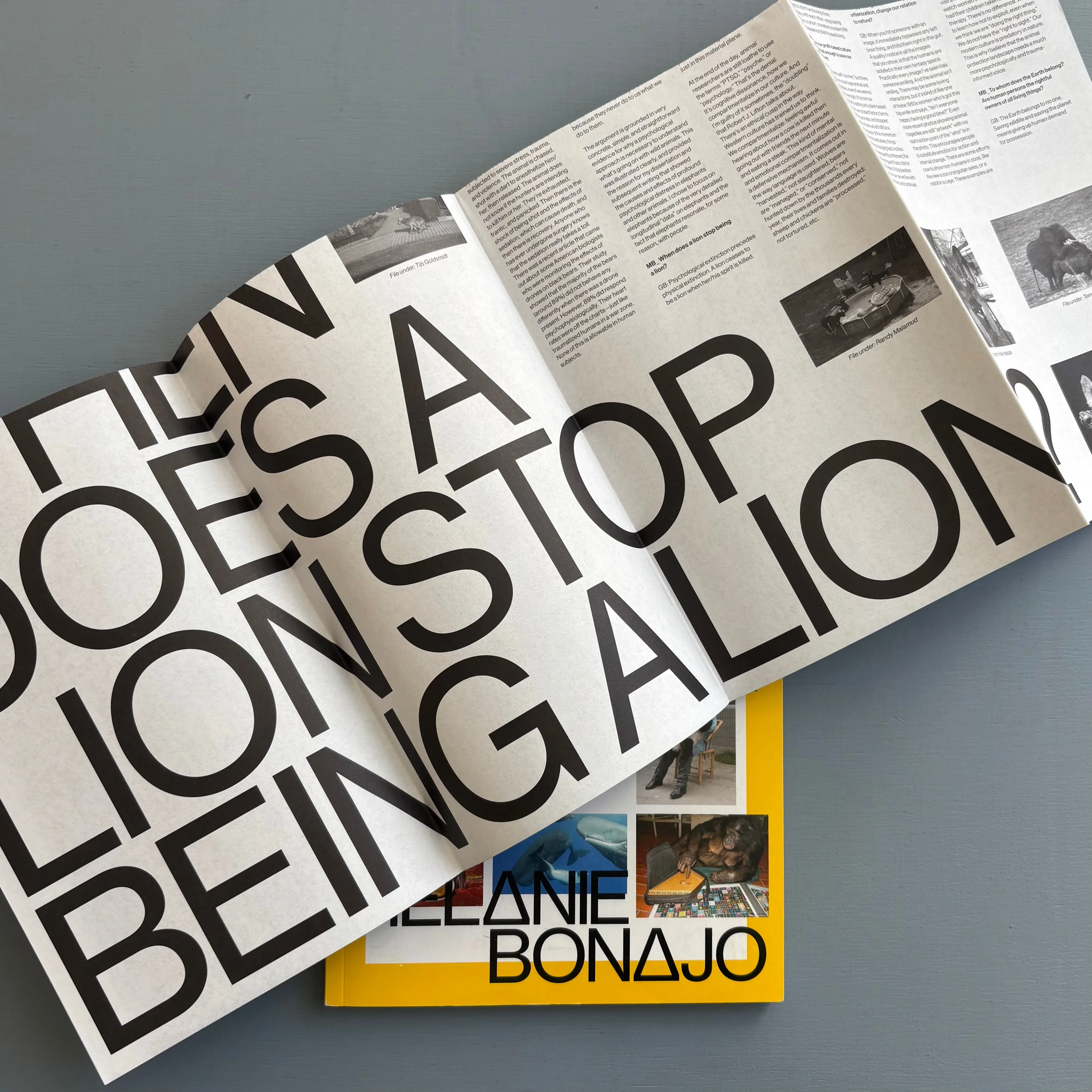 MB-Matrix Botanica Vol. 1: non-human persons by Melanie Bonajo - Capricious 2015 - Image 11