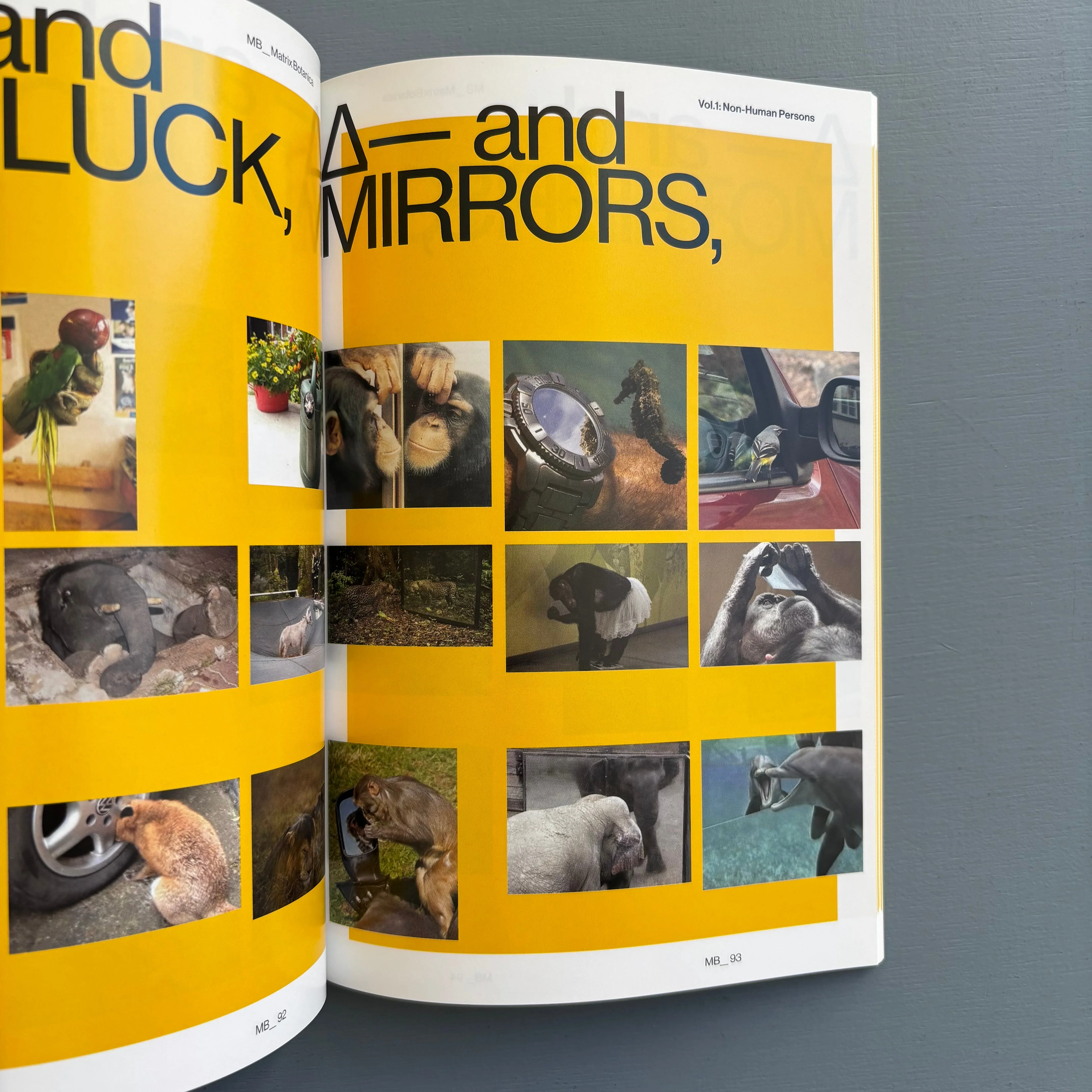 MB-Matrix Botanica Vol. 1: non-human persons by Melanie Bonajo - Capricious 2015 - Image 7