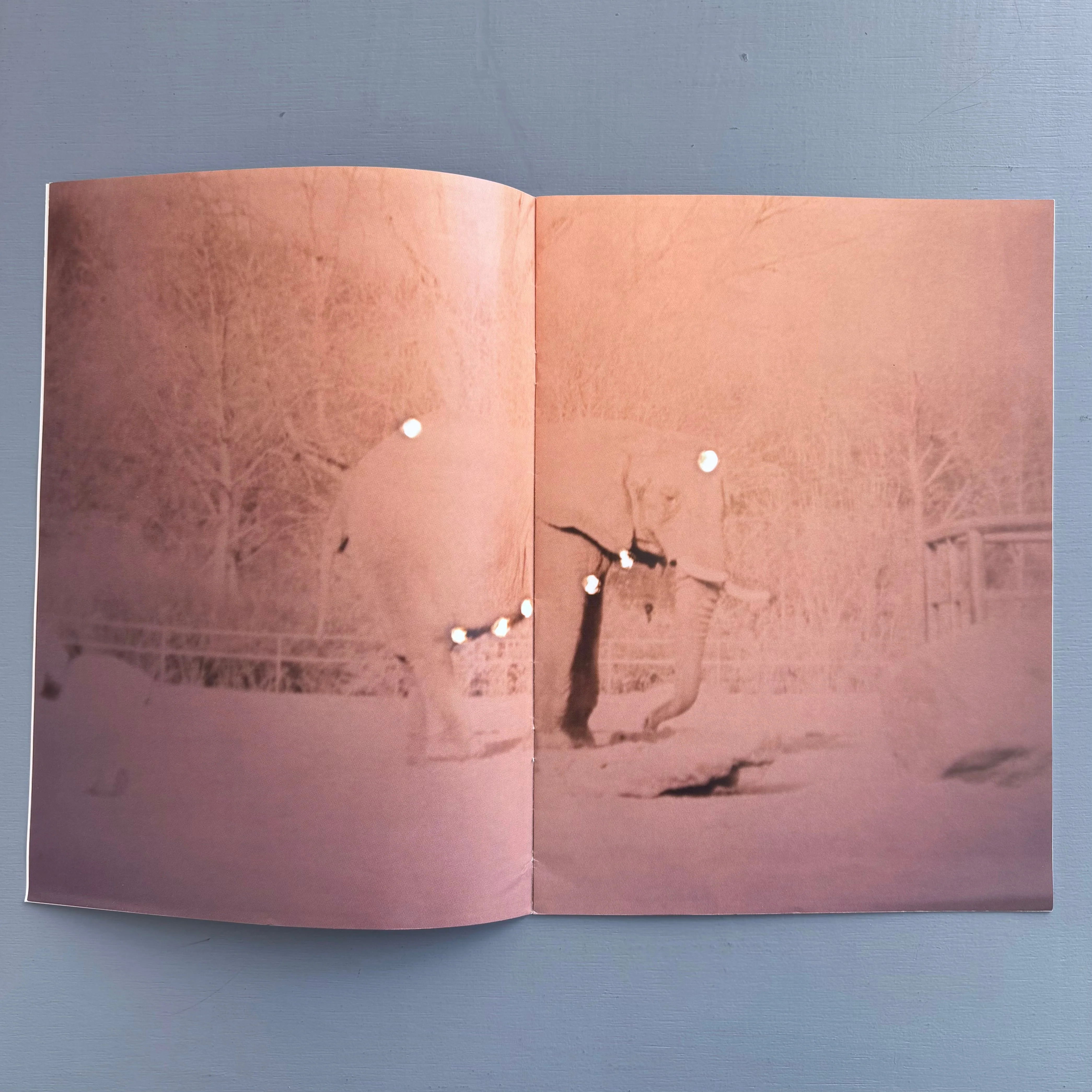 Melanie Bonajo - Völkerschau - Capricious 2009 - Image 3