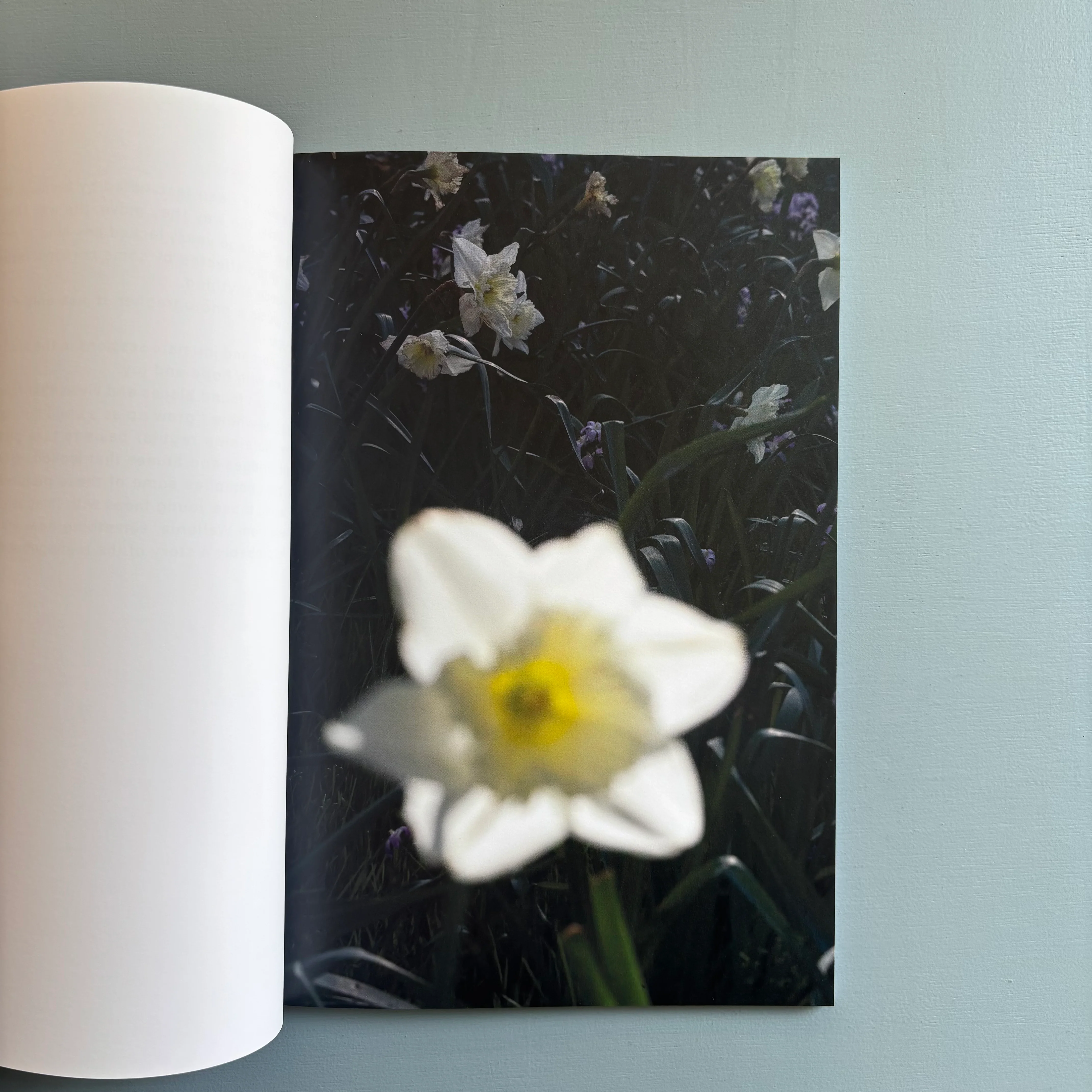 Merel Hart - 1 - Self-published 2025 - Image 2