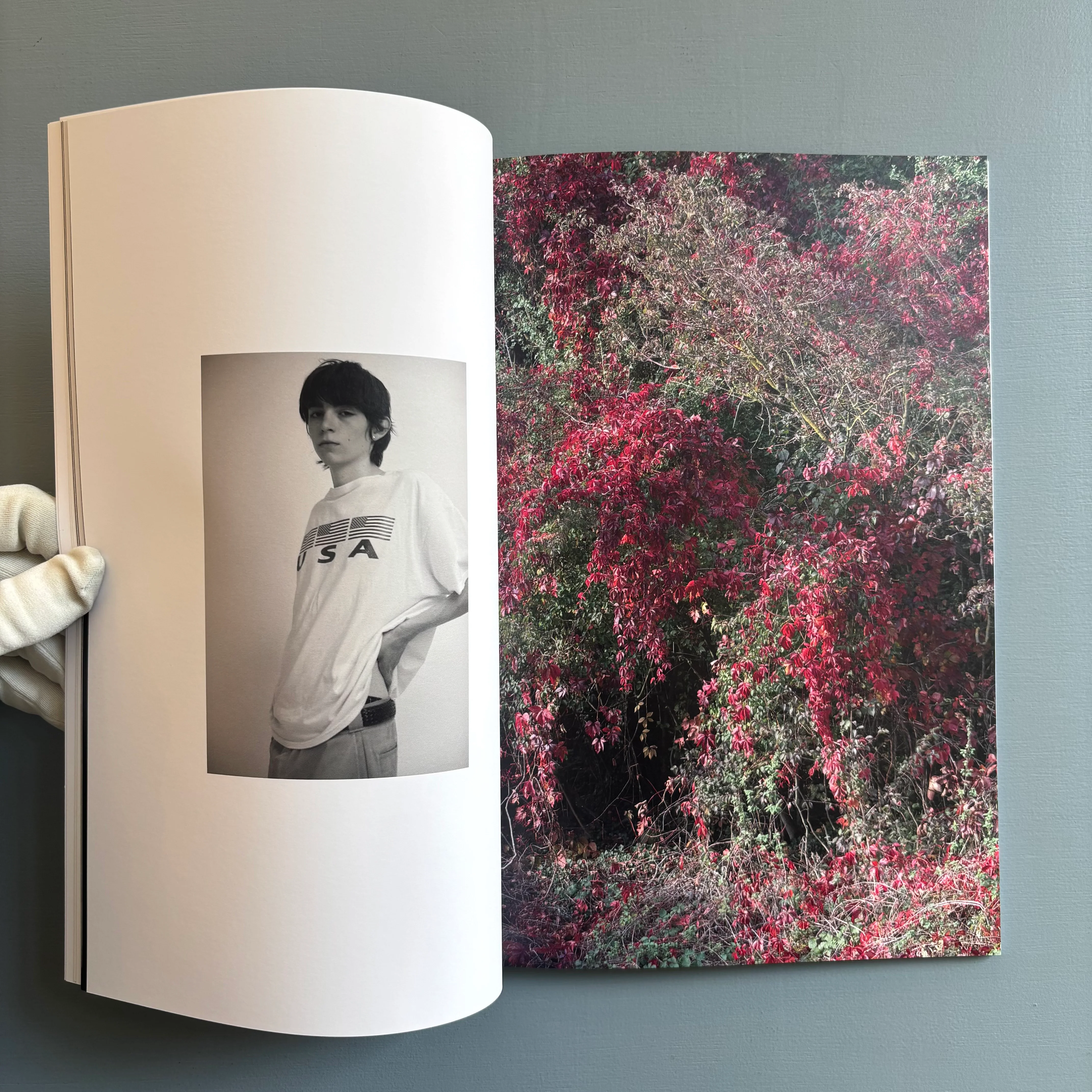 Merel Hart - 1 - Self-published 2025 - Image 5