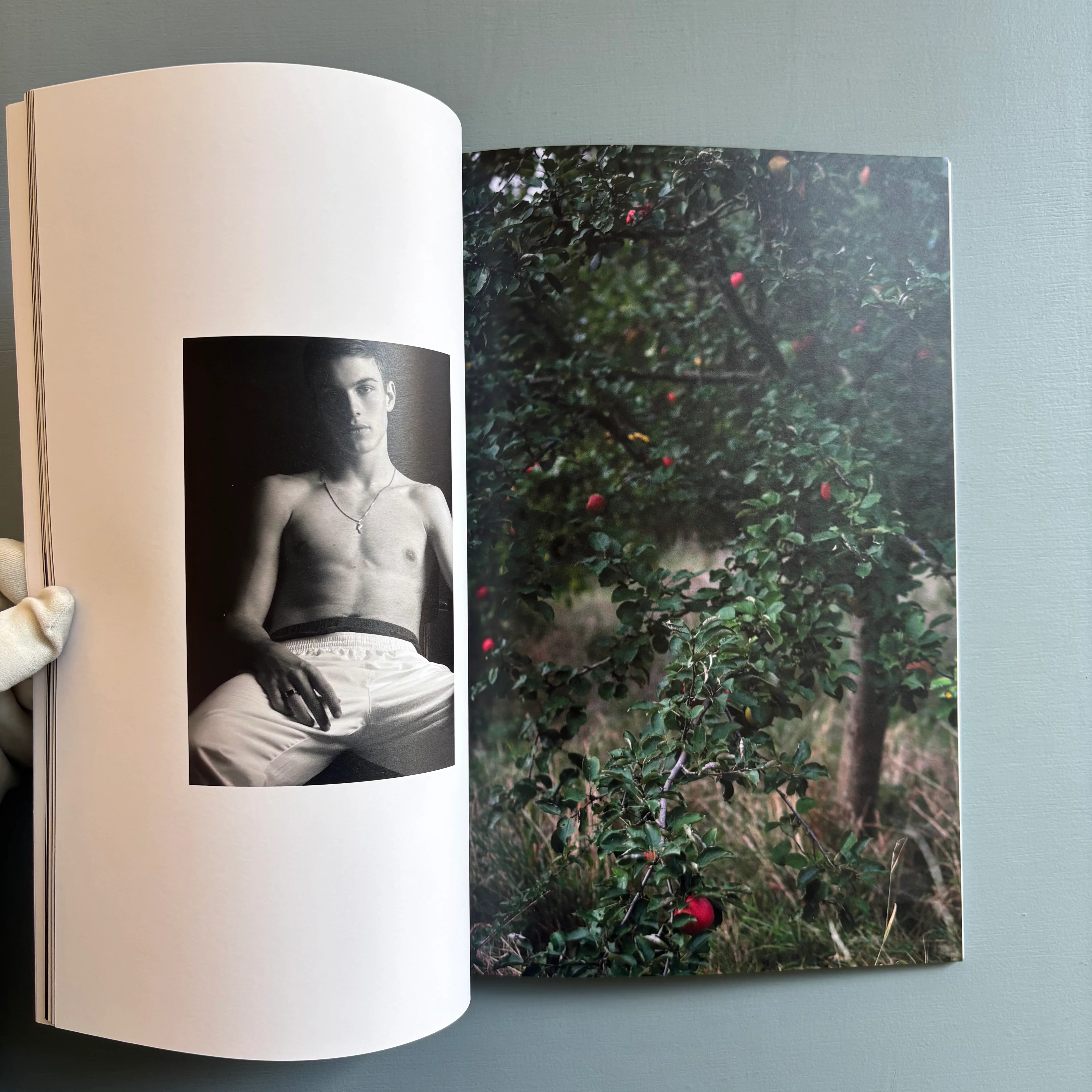 Merel Hart - 1 - Self-published 2025 - Image 6