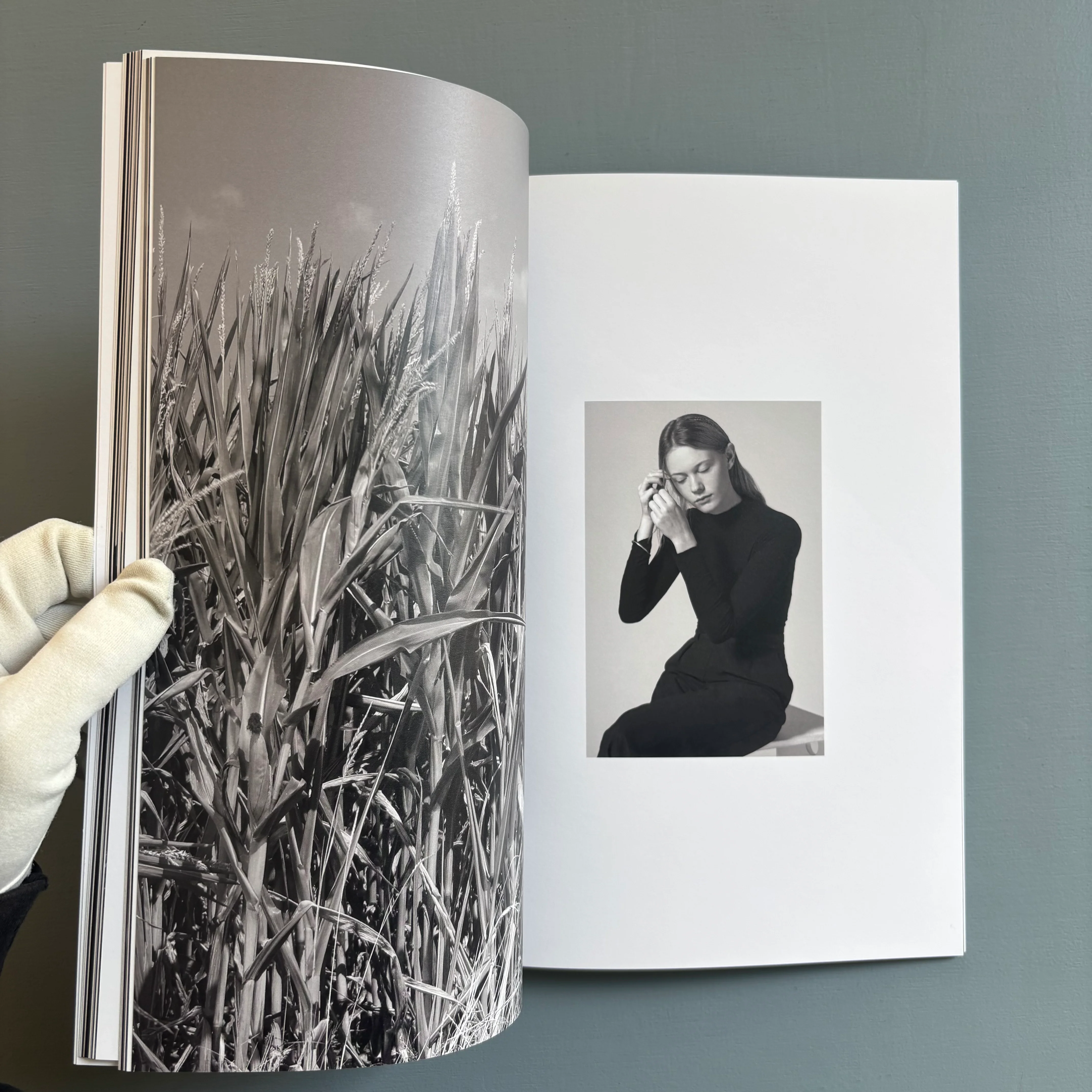 Merel Hart - 1 - Self-published 2025 - Image 7