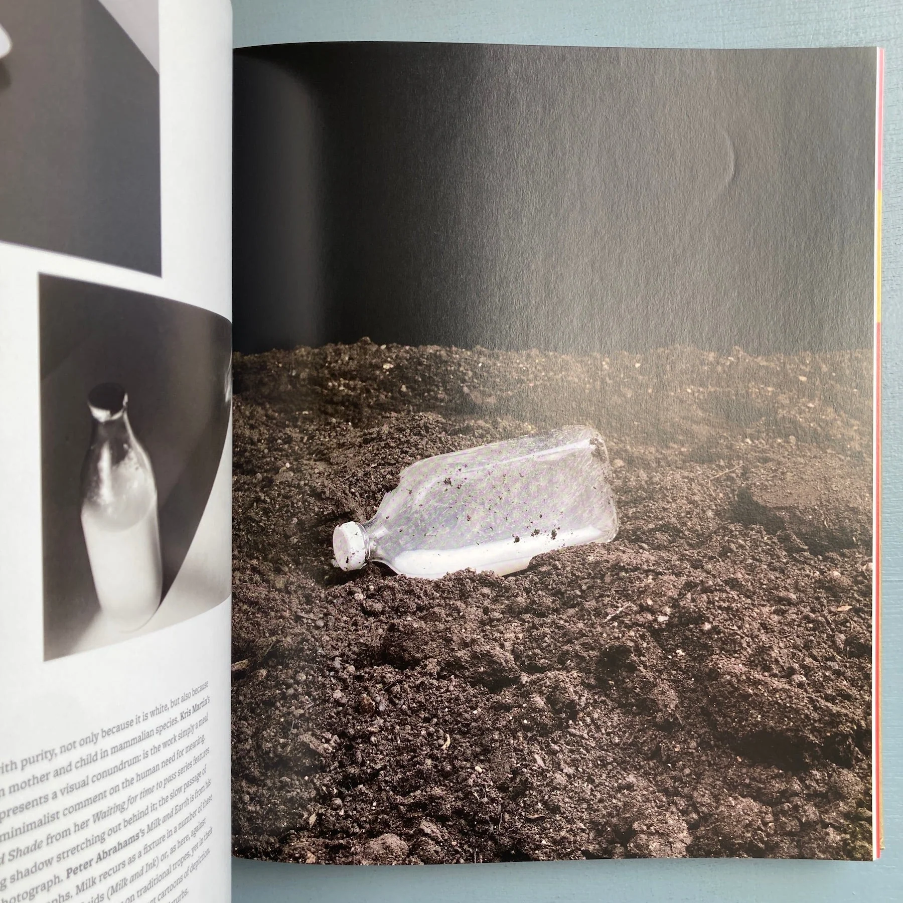Michael Petry - Nature Morte: Contemporary artists - Thames & Hudson 2013 - Image 9