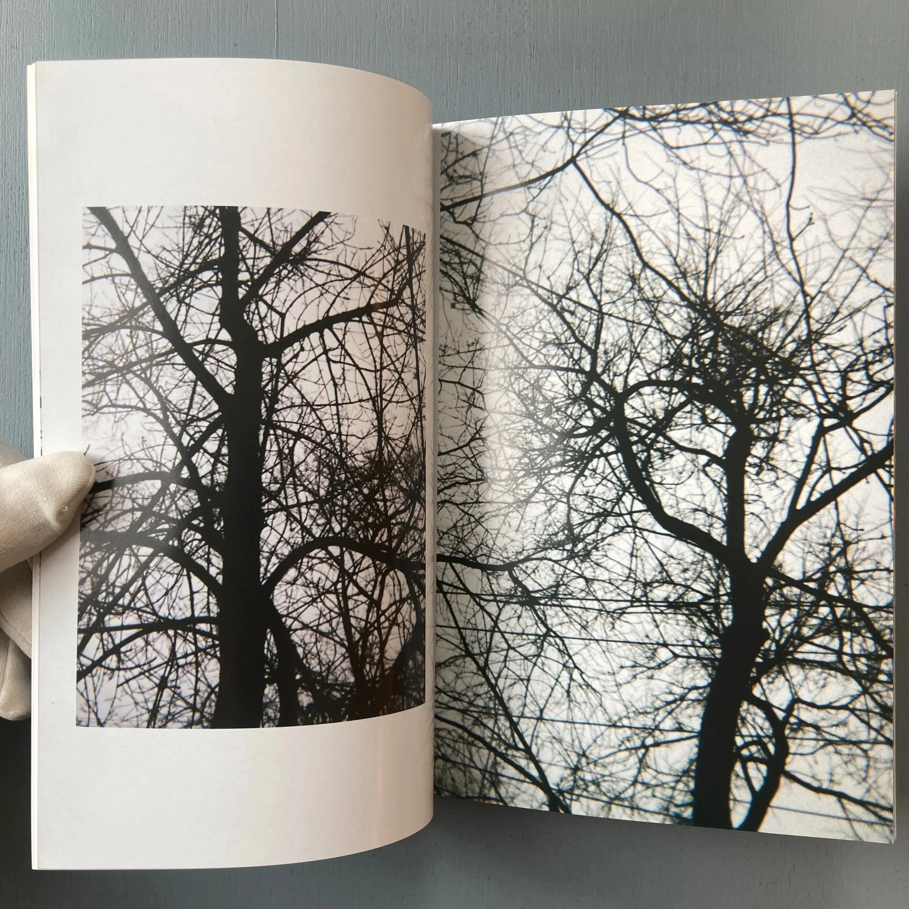 Michael Snow - 56 Tree Poems - Imschoot 1999 - Image 3