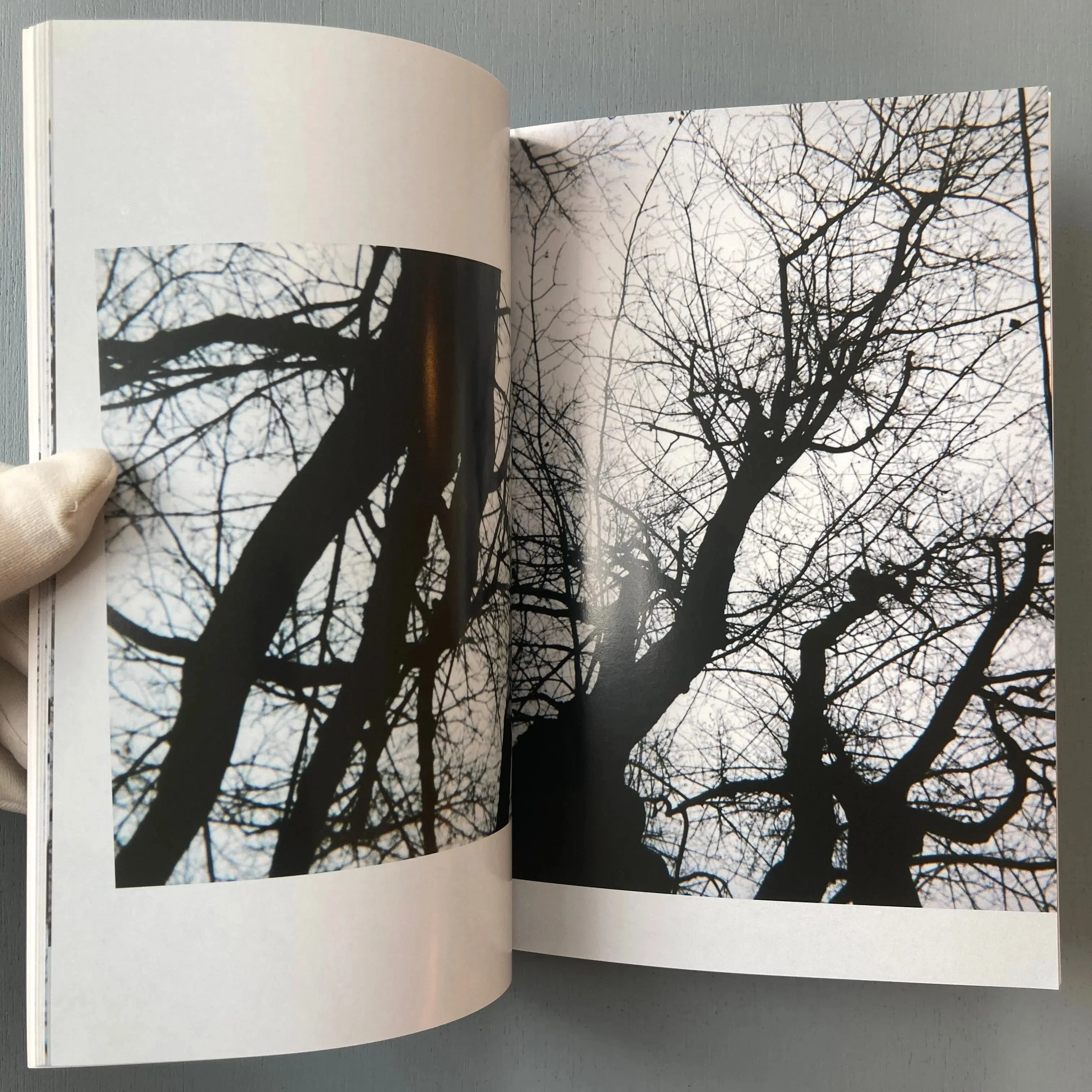 Michael Snow - 56 Tree Poems - Imschoot 1999 - Image 5