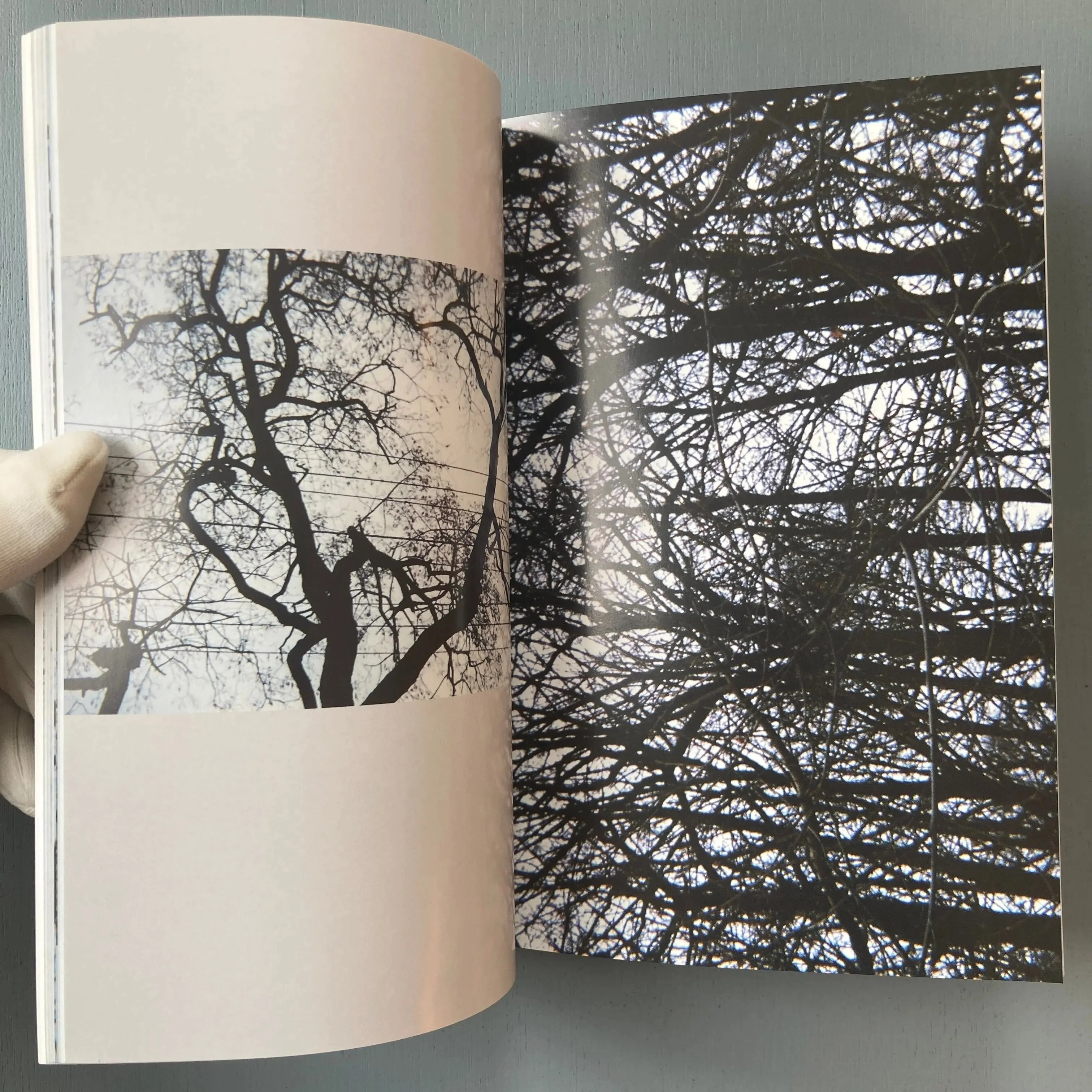Michael Snow - 56 Tree Poems - Imschoot 1999 - Image 6
