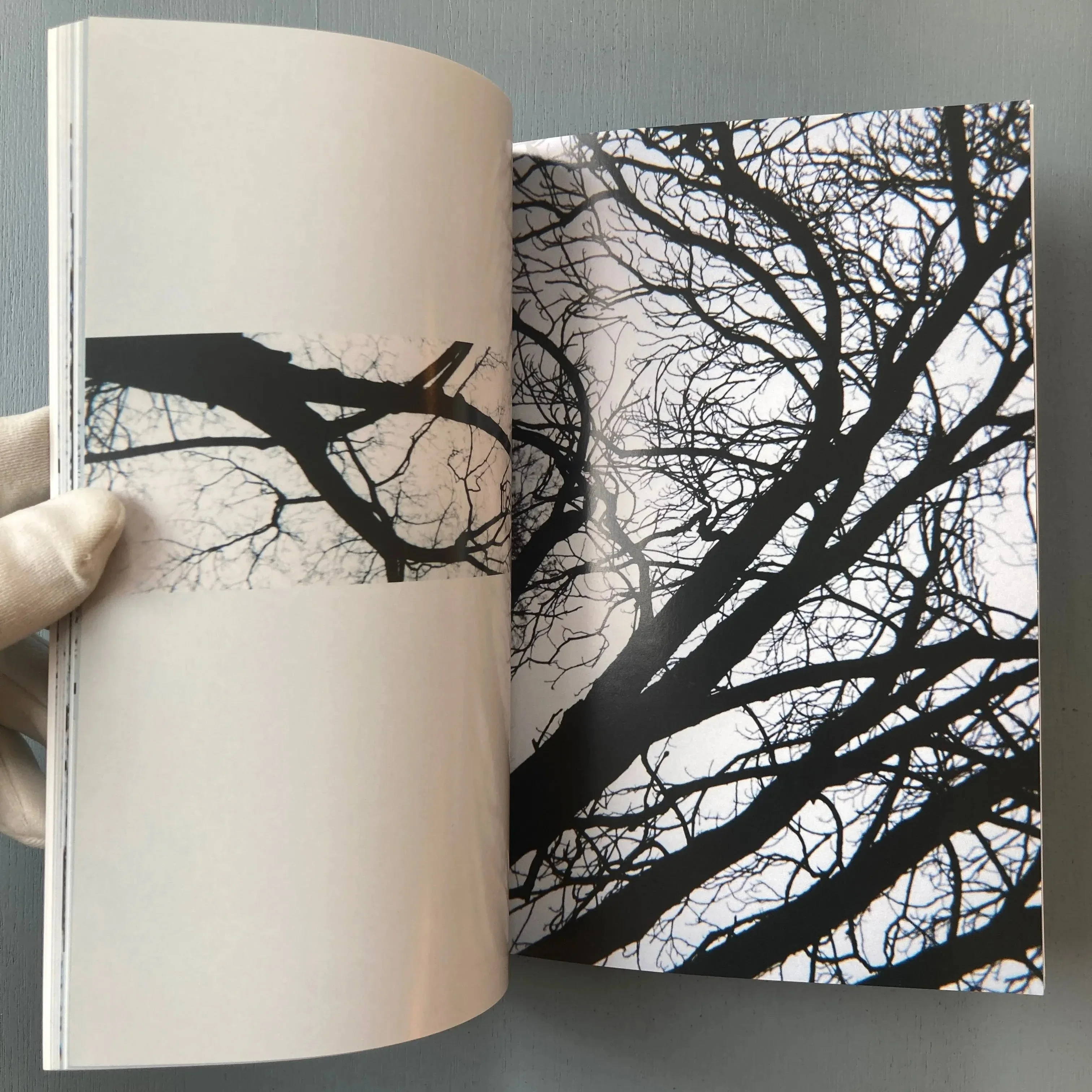 Michael Snow - 56 Tree Poems - Imschoot 1999 - Image 7