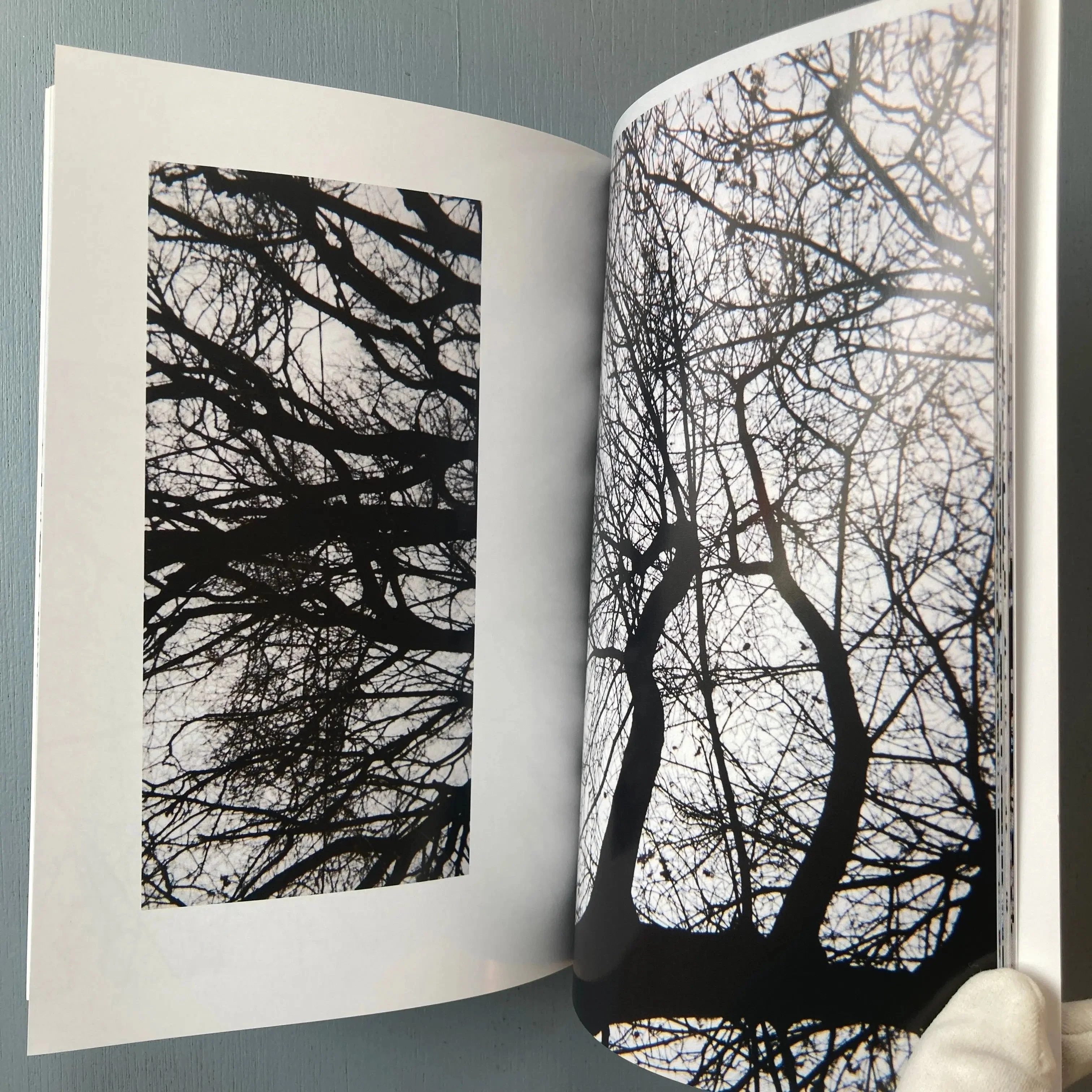 Michael Snow - 56 Tree Poems - Imschoot 1999 - Image 8